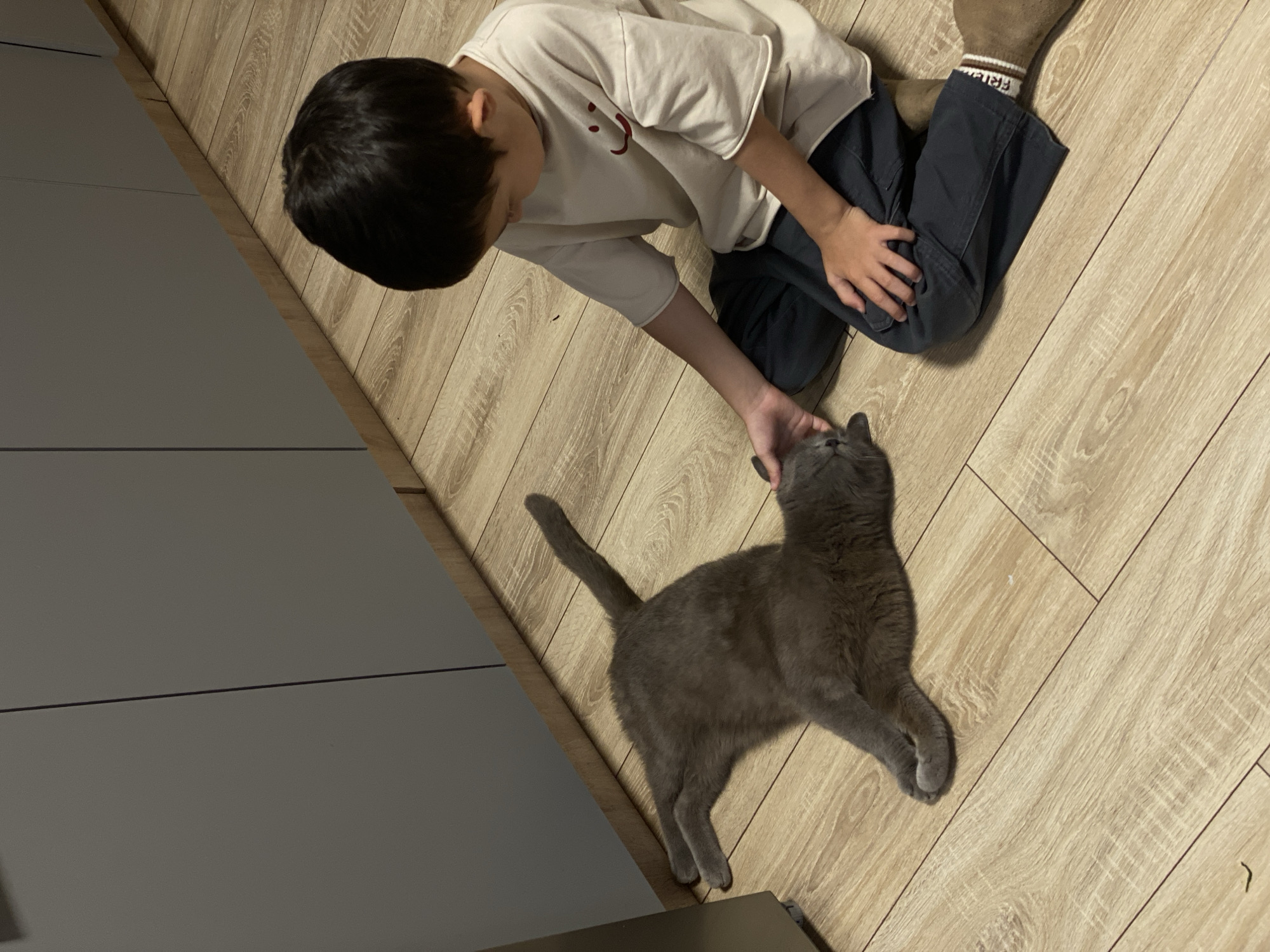 A young person is kneeling on a light-colored, wood-look floor, interacting with a gray cat. The person has dark hair and is wearing a light-colored, long-sleeved shirt and dark pants. The cat is lying on its side, with the person's hand gently touching its head. The background includes a gray, flat surface, possibly a cabinet or wall. The location is Vysokoye, Russia.