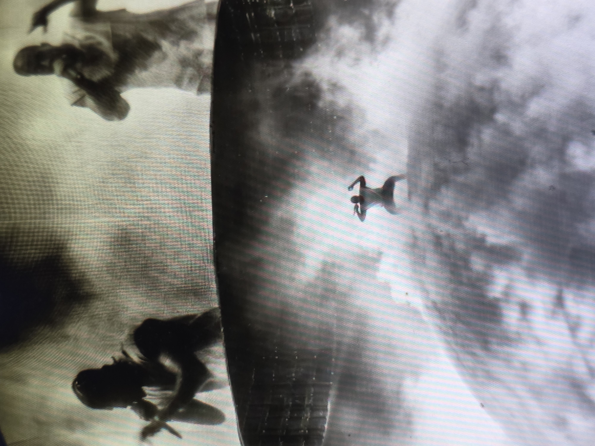 The media file depicts a black and white, low-resolution image of individuals in mid-air, suggesting an activity like skydiving or bungee jumping. Two main figures are visible. One is in the foreground, appearing to be in a crouched or falling position, with their body angled downwards. Their form is indistinct and shadowy. Another figure is further in the distance and to the right, in a more spread-out, horizontal position. This figure is also silhouetted against a bright background.
The setting appears to be the sky, characterized by cloudy formations that take up a significant portion of the frame. The clouds are dense and textured, creating a dramatic backdrop. The overall lighting is bright, suggesting it could be daytime. The image has a grainy quality with visible horizontal lines, indicating it might be a scan of an older photograph or a video capture from a low-resolution screen.
There is no visible text in the image. The focus is entirely on the figures and the atmospheric conditions of the scene. The emotion conveyed is one of dynamic movement and possibly exhilaration, inherent in the act of freefall. The context of Varna, Bulgaria, does not provide specific visual cues within the image itself to confirm or deny this location.