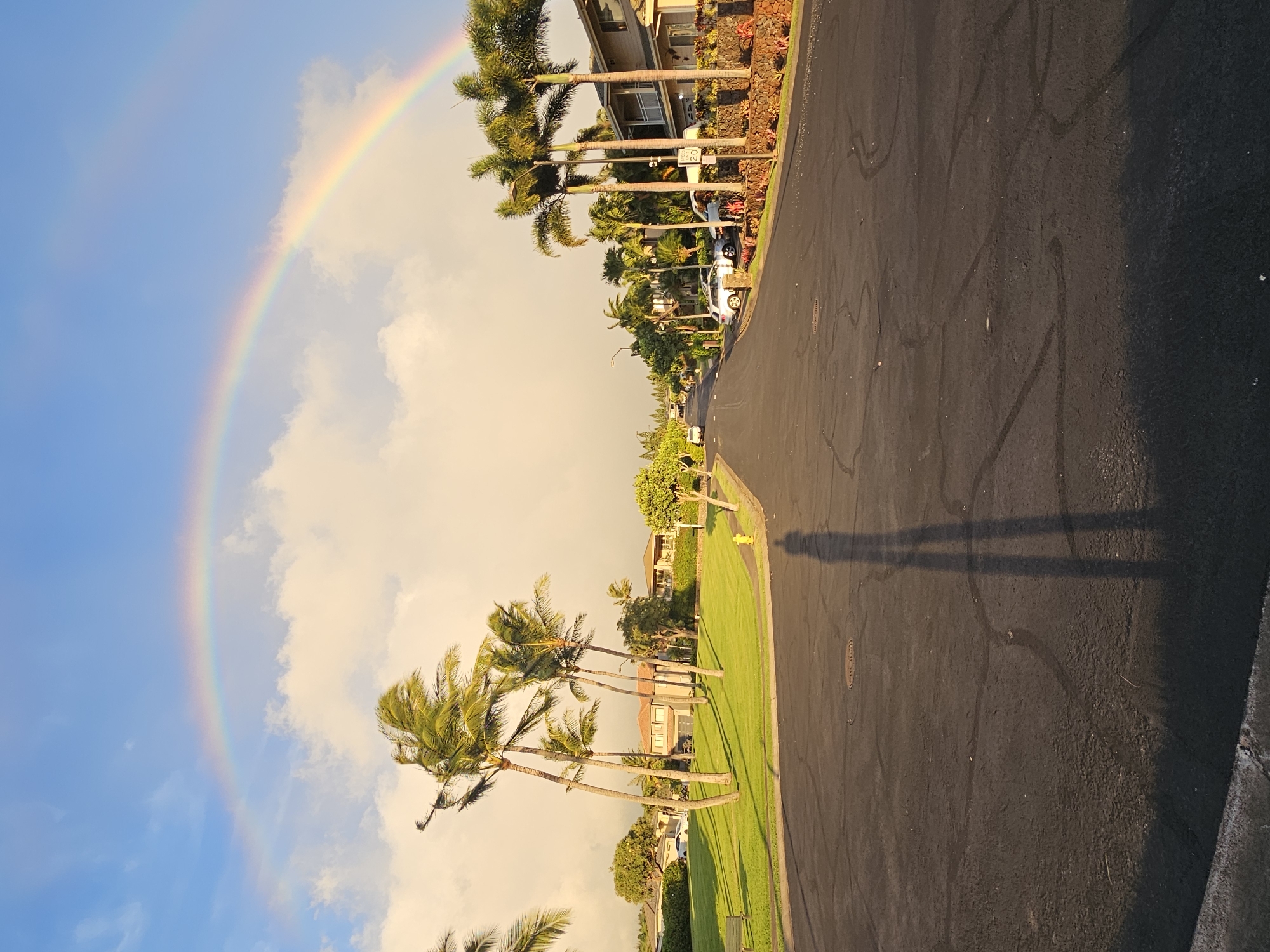 The image depicts a suburban street in Napili, Hawaii, United States of America, under a sky featuring a prominent rainbow. The foreground is dominated by an asphalt road with a shadow of a person standing on it, elongated due to the low angle of the sun. To the left of the road, a well-maintained lawn is visible, bordered by palm trees. Several houses with tropical landscaping are situated along the street, with some parked vehicles. The palm trees are a significant feature of the scene, swaying in the wind. The rainbow arches across the sky, suggesting recent or ongoing rainfall. The overall environment is one of a residential neighborhood on a sunny day with a picturesque natural phenomenon.