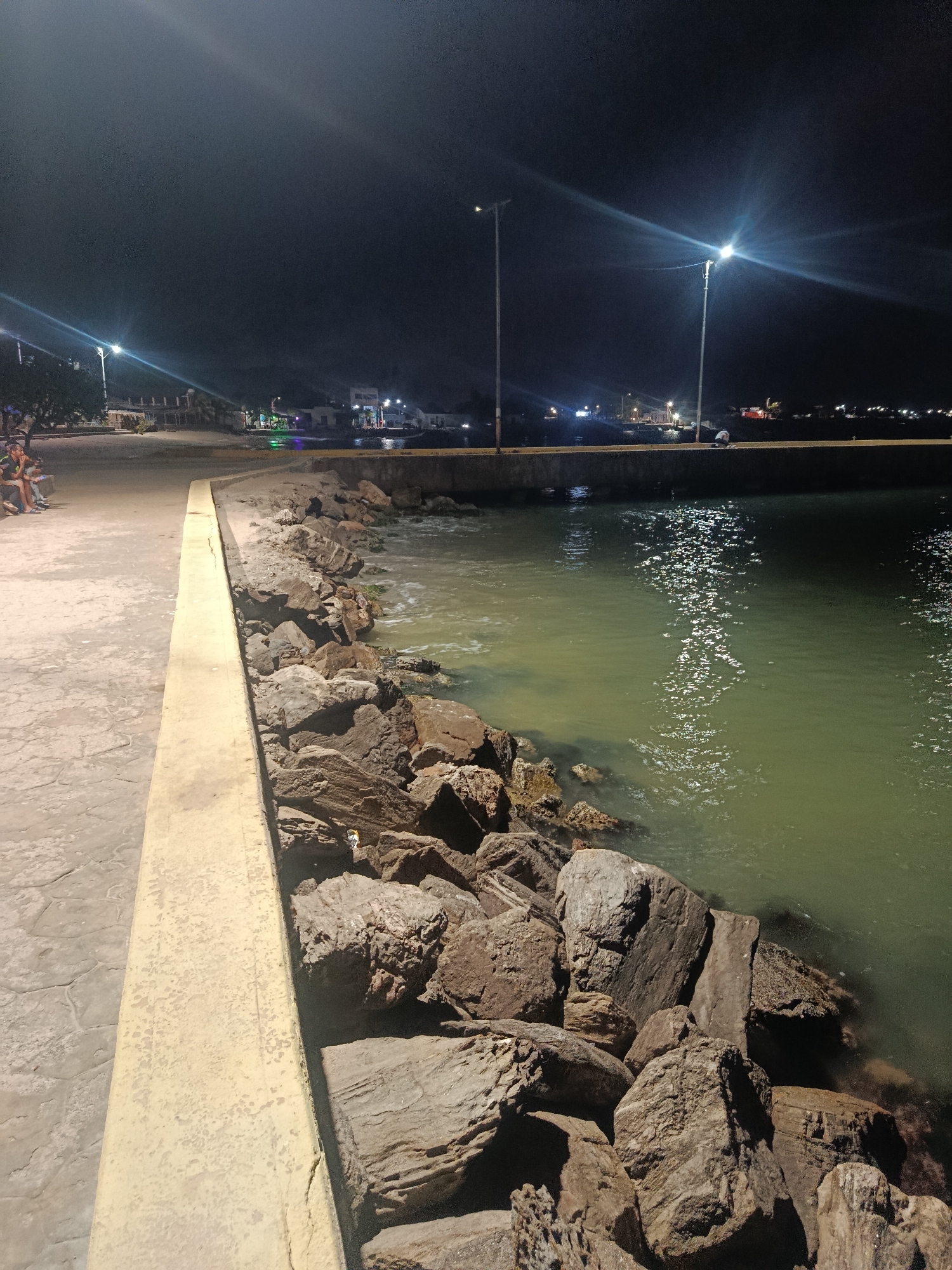 This is a night-time shot taken from a waterfront area in Juan Griego, Venezuela. The scene is lit by streetlights, which reflect in the dark water. A concrete walkway bordered by a low concrete wall runs along the left side of the frame. To the right of the wall, large rocks and boulders line the edge of the water. The water appears murky, reflecting the lights from the town in the distance. In the background, buildings and faint outlines of hills can be seen. On the left side of the walkway, partially out of frame, people are sitting. Further down the walkway, the outline of a person can be seen standing at the edge of the water. The focus is primarily on the rocks and the edge where the land meets the sea.