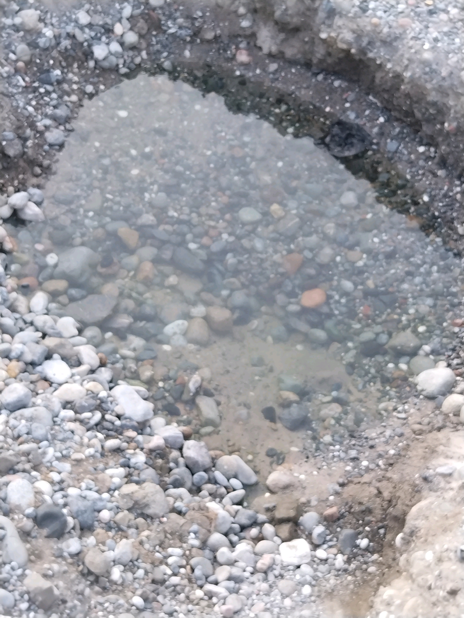 The image depicts a shallow puddle of water on a surface covered with small and medium-sized rocks and pebbles. The water is somewhat murky, and the bottom of the puddle is visible, showing more rocks and sand. The surrounding area also consists of rocks and dirt, with some patches of soil. The scene appears to be outdoors, possibly in a natural or unpaved area. There are no people or animals visible in the image. The lighting suggests it is daytime.