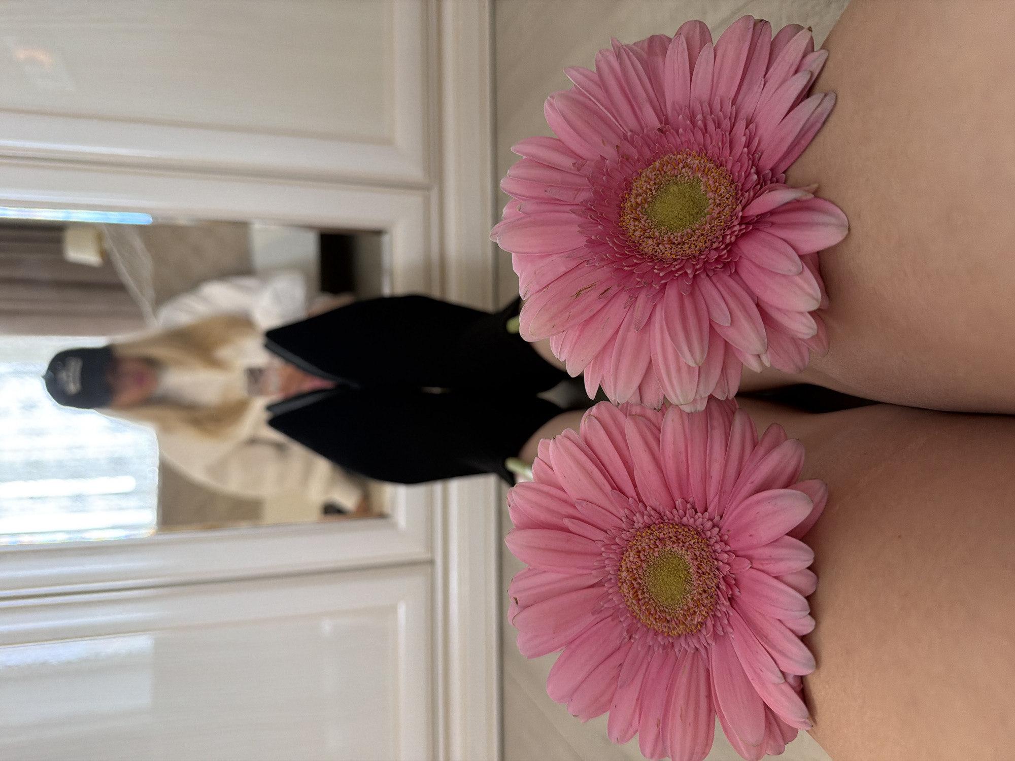 A close-up shot, rotated 90 degrees clockwise, shows two pink gerbera daisies resting on fair skin. The background reveals a partial reflection in a mirror, showing a person in a black baseball cap, white jacket, and black pants. The mirror is framed by a white cabinet. The location is not discernable from the image.