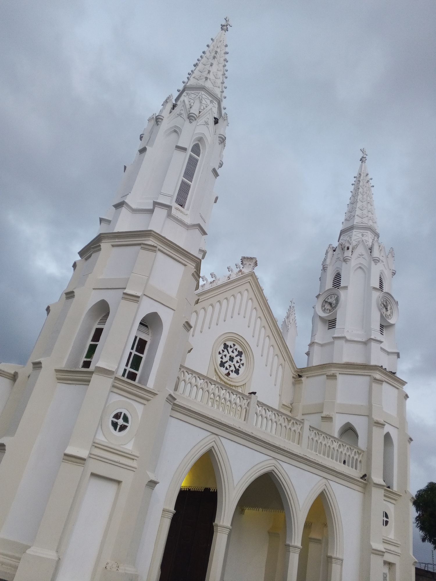 A grand, white Gothic Revival-style church stands prominently under an overcast, cloudy sky, likely in Juan Griego, Venezuela. The building features two ornate spires; the taller one on the left tapers upwards with intricate decorative elements, while the slightly shorter one on the right includes clock faces on its multiple sides. Below the spires, the church facade showcases a series of pointed arches at the ground level, leading to a dark wooden entrance. Above this, a balcony with an elaborate balustrade runs across the width of the building, topped by a large, circular rose window with detailed tracery.
Numerous arched windows with colored glass panes are visible across the church's towers and walls. The entire structure is painted in a uniform light cream or white, creating a stark contrast against the dark grey clouds. Several small birds, possibly pigeons, are perched on the railings and architectural protrusions. A tree with dark foliage is partially visible on the far right. The image is taken from a low angle, emphasizing the church's height and imposing presence. No specific text is clearly legible on the clock faces or any other part of the building. The diffused light from the cloudy sky gives the scene a soft, somewhat dramatic atmosphere.