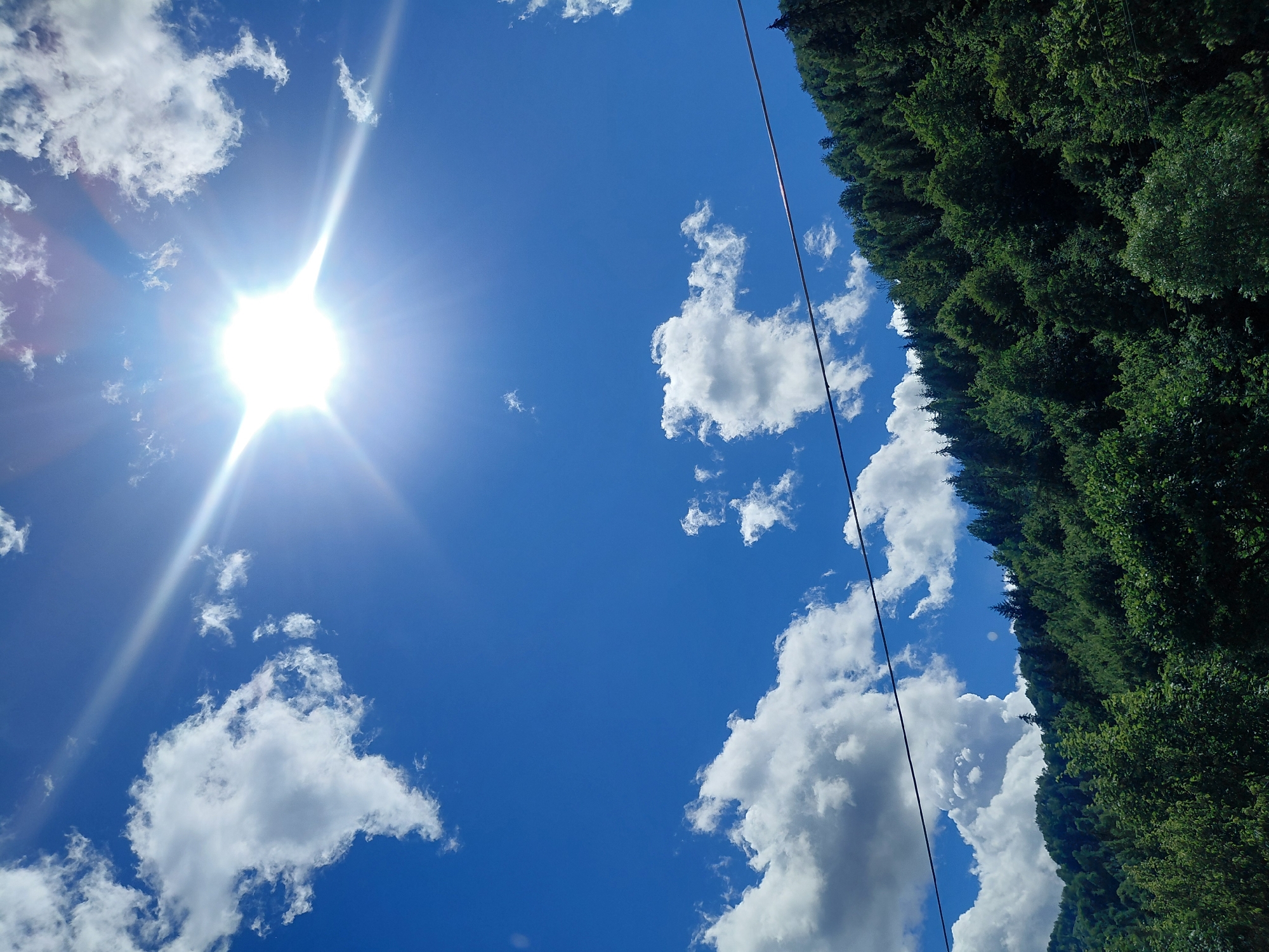 The image depicts a bright, sunny day with a clear blue sky in Chernyk, Ukraine. The sun is prominently visible in the upper center of the frame, emitting strong rays. Scattered white clouds dot the sky. In the lower portion of the image, a dense, green forest covers a sloping hillside. Two thin, dark lines, likely power lines, stretch horizontally across the frame, partially obscuring the view of the forest and sky. There are no people or animals visible in the scene. The environment appears to be a natural, wooded landscape on a clear day.