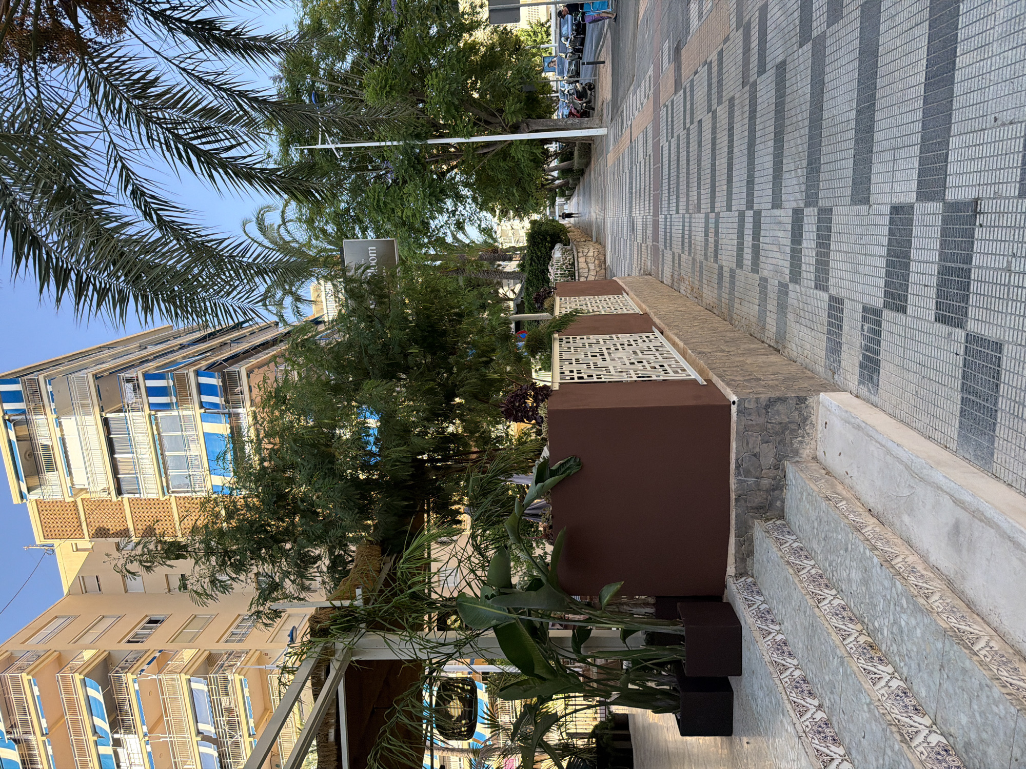 This is a street-level, eye-level, full-shot photograph taken on a sunny day in Benidorm, Spain, likely in the late afternoon due to the long shadows. The scene depicts a pedestrian walkway along a busy street lined with tall, multi-story apartment buildings.
In the foreground to the left, there are decorative tiled stairs leading up to a covered outdoor seating area of a restaurant or cafe. Several potted plants, including large tropical plants with broad leaves and some palm fronds, are arranged near the stairs. A brown planter box with a decorative white fence is positioned next to the plants.
The walkway is paved with a patterned mosaic of gray and dark gray square tiles, creating a visually dynamic effect. To the right of the walkway, palm trees and other leafy green trees are planted along the street, providing shade. The apartment buildings in the background are modern, with balconies featuring blue and white striped awnings. One building has a distinctive textured facade with a repeating geometric pattern.
The street itself is visible on the right side of the image, with cars and motorcycles parked and in motion. A few people are present: a single figure walks further down the sidewalk, and another person stands near the parked vehicles on the right.
A sign for "Bloom" is visible hanging from a pole amidst the trees. The sky is a clear, bright blue. The overall impression is of a vibrant, urban street scene in a popular tourist destination.