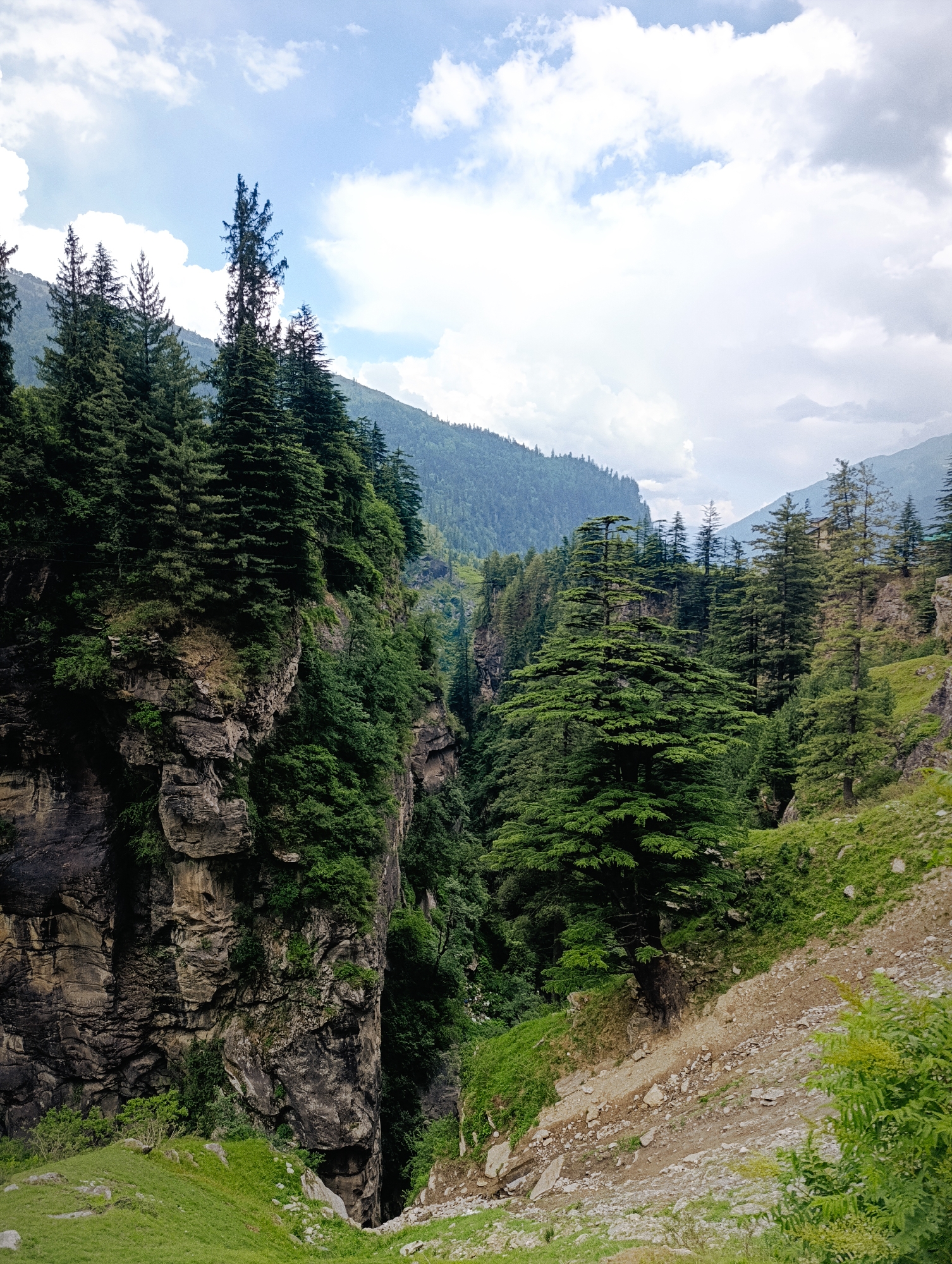The image depicts a vast, verdant landscape with steep, rocky cliffs covered in dense coniferous trees. The cliffs, composed of layered stone in shades of gray and brown, are partially obscured by lush green foliage. A narrow, dark ravine cuts through the scene on the left side, hinting at a significant drop. On the right, a rugged, rocky slope descends, also dotted with vegetation. In the background, successive mountain ranges recede into the distance, their slopes blanketed in a deep green forest. The sky above is a mix of blue and white clouds, with some patches appearing bright and illuminated. The overall impression is one of a wild, untamed natural environment. The location is identified as Palchan, India, suggesting this is a mountainous region within the country. There are no people or discernible actions visible in the image.