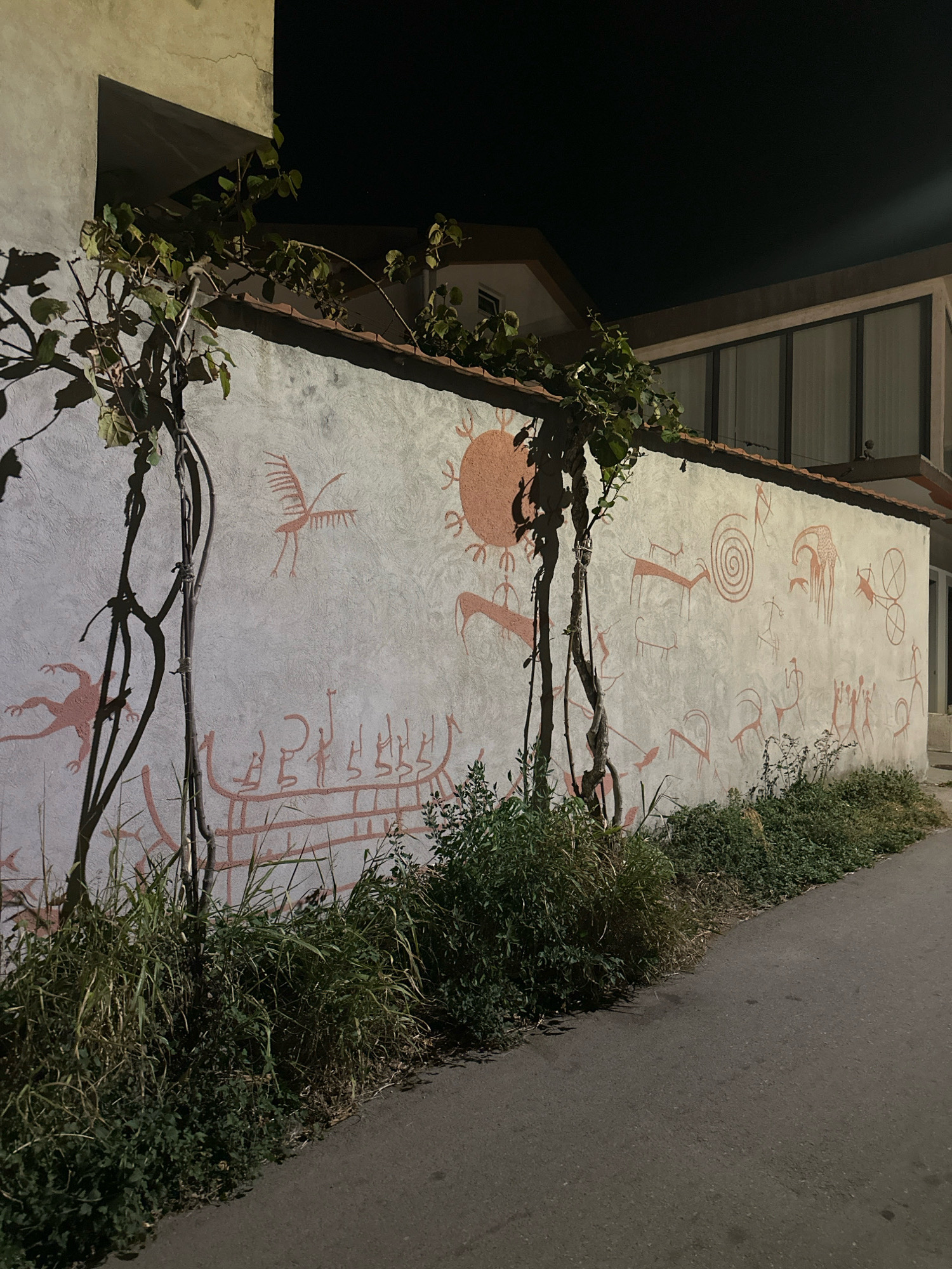 The image captures a mural on a textured wall, depicting ancient-style drawings in a reddish-brown hue. These figures include what appear to be ships, humanoids, animals resembling deer and birds, and circular patterns. The mural spans the length of the wall, which is illuminated by artificial light, casting shadows from overhanging vines and branches. Greenery, including tall grasses and smaller bushes, grows along the base of the wall and the edge of an asphalt path. In the background, modern building structures with large windows are visible. The sky above is dark, indicating nighttime. The mural is located on a building in Budva, Montenegro.