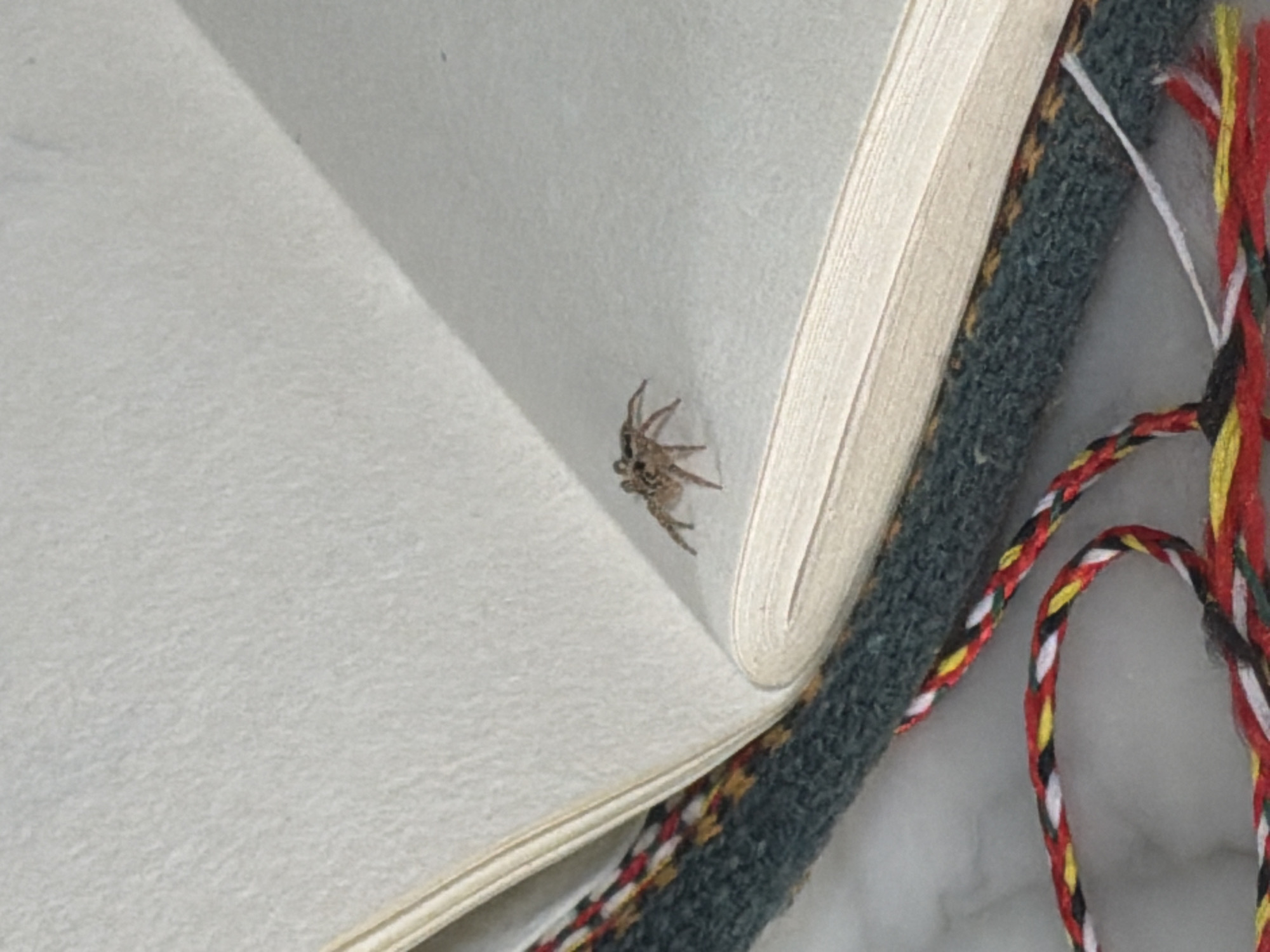 A small, tan spider with visible legs is positioned on an open book. The book's pages appear to be white or light-colored. The book's binding is wrapped in a dark gray woven material. Adjacent to the binding are several multi-colored cords or strings, primarily red, yellow, white, and black, twisted together. The background is a neutral, light surface. The location of North Kuta, Indonesia is not verifiable from this image.