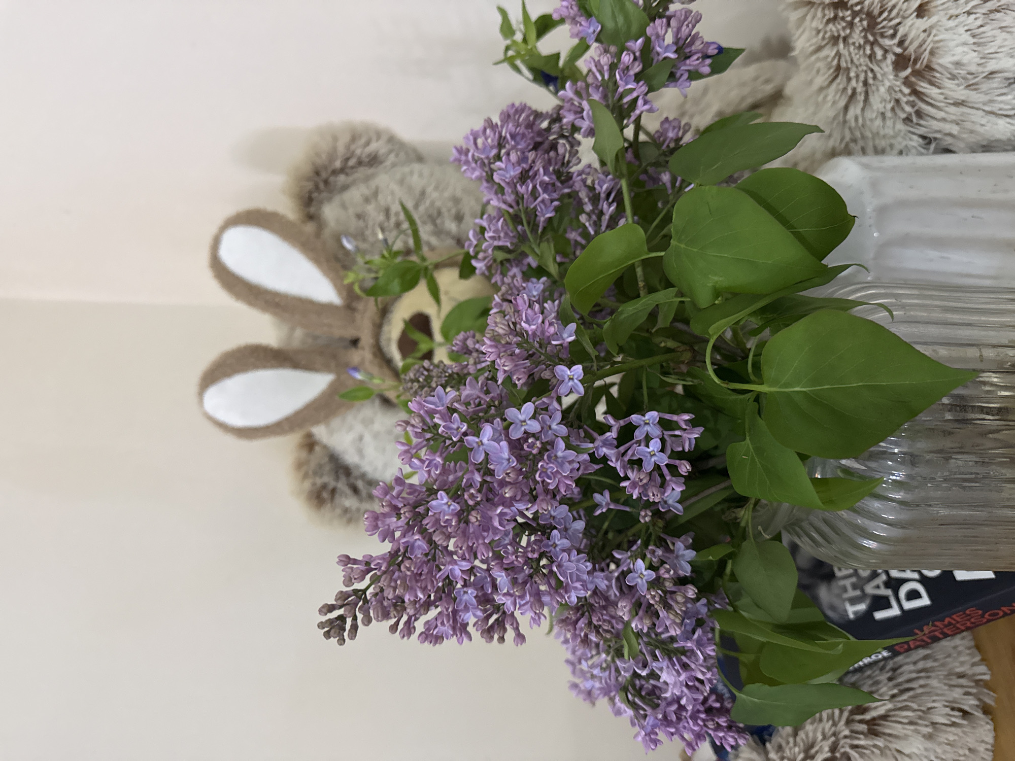 The image captures an indoor still life arrangement featuring a bouquet of purple lilac flowers, a plush toy, a glass vase, and a book.
In the center, a lush cluster of vibrant purple lilac flowers, adorned with fresh green leaves, is prominently displayed. The individual florets are small and delicate, forming dense, conical blooms. These flowers are arranged in a clear glass vase with a ribbed texture, visible on the right side of the frame.
Behind and to the upper left of the flower arrangement, a light brown, fluffy plush toy is partially visible. It has distinctive white-lined bunny ears, suggesting it is a rabbit or similar animal, and appears to be looking towards the flowers.
In the lower right corner, a dark-colored book spine is visible, lying horizontally. The title "THE LAST DAY" and the author's name "JAMES PATTERSON" are clearly legible on its spine. The book rests on another soft, light-colored, shaggy material, possibly part of the plush toy or a blanket.
The background is a plain, light-colored surface, likely a wall or table, which provides a neutral backdrop, highlighting the colors and textures of the foreground objects. The lighting is soft and diffused, indicating an indoor setting, likely during the daytime. The overall scene suggests a cozy and inviting atmosphere. This photograph was taken in Great Yarmouth, United Kingdom.