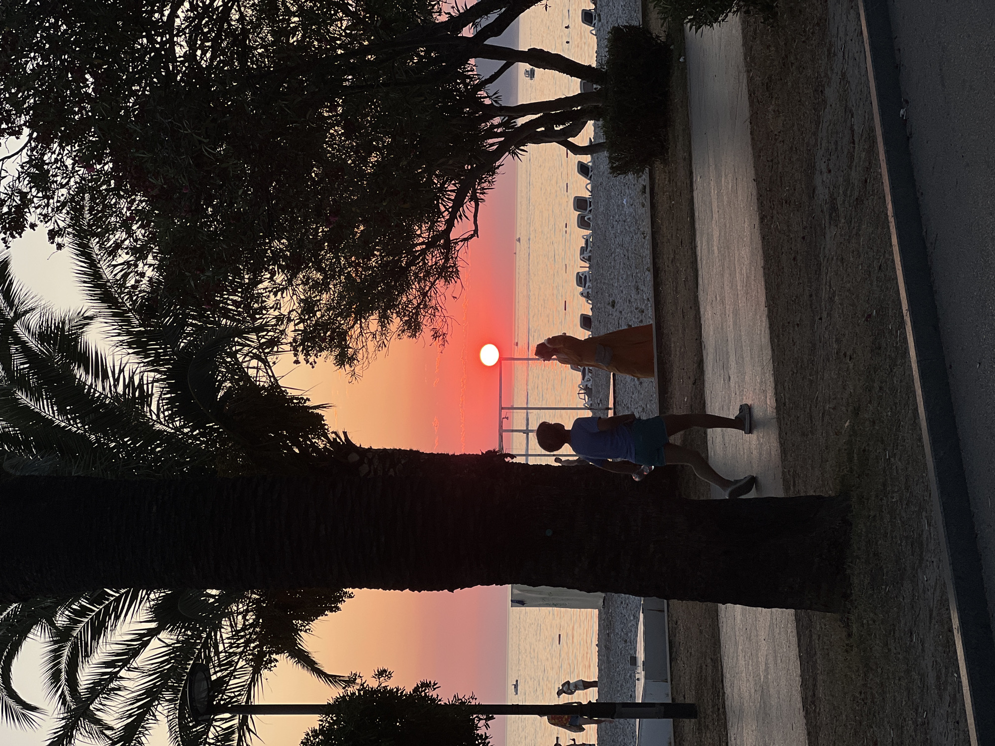 The image depicts a sunset scene at the Bar, Montenegro waterfront. The sun, a bright orange disc, is low on the horizon over the Adriatic Sea, casting a warm glow across the sky. The foreground is dominated by a large, silhouetted palm tree trunk on the left and a smaller, leafy tree on the right. A paved walkway runs through the middle ground, with a person in a blue t-shirt and shorts walking away from the viewer. Further back, on the sandy beach, a person in an orange dress stands near a lifeguard chair. Rows of empty lounge chairs are visible on the beach. The sea is calm, with a few small boats in the distance. The overall atmosphere is peaceful and serene, with the vibrant colors of the sunset creating a picturesque backdrop.