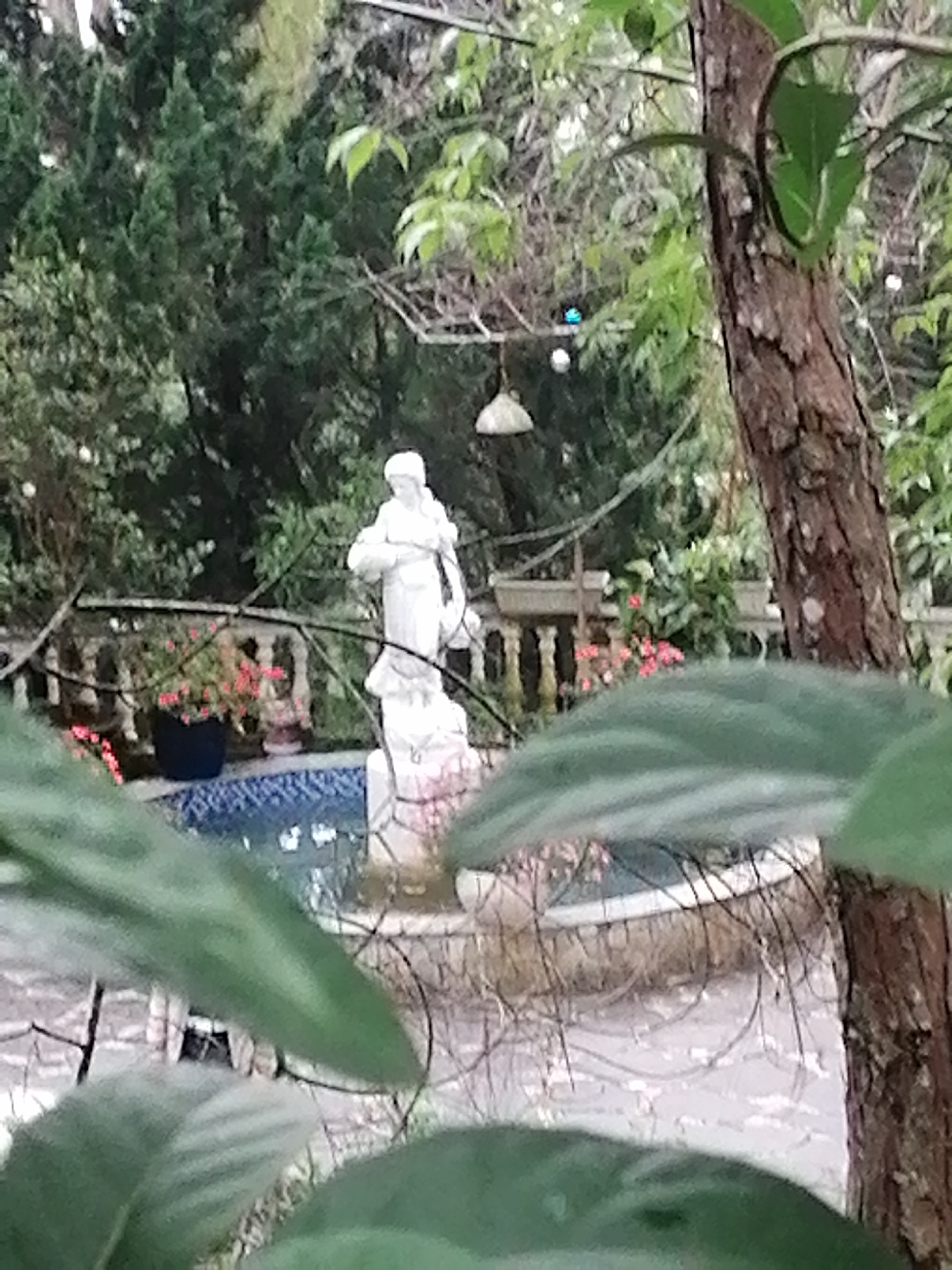 The image captures a serene outdoor garden scene, likely in Da Lat, Vietnam, as suggested by the context. In the center, a white classical statue of a standing figure, possibly a woman, is prominently displayed, appearing to be part of a fountain feature with a small, tiled blue pool below it. The statue stands on a decorative pedestal.
Behind the statue, a white balustrade with intricate details extends across the mid-ground, supporting potted plants with vibrant red flowers. Beyond the balustrade, a dense array of lush green trees and foliage fills the background, indicating a natural and well-maintained garden environment.
The foreground is intentionally blurred by large green leaves, framing the central elements and adding depth to the composition. To the right, a thick tree trunk with textured bark is partially visible, further anchoring the natural setting. Hanging lights or decorative ornaments are subtly visible among the trees in the background, with one appearing distinctly blue.
The time of day appears to be daytime, possibly overcast or late afternoon, given the soft, diffused lighting and lack of harsh shadows. There is no explicit activity taking place, rather the scene showcases a decorative and tranquil garden landscape. No visible text is present in the image.