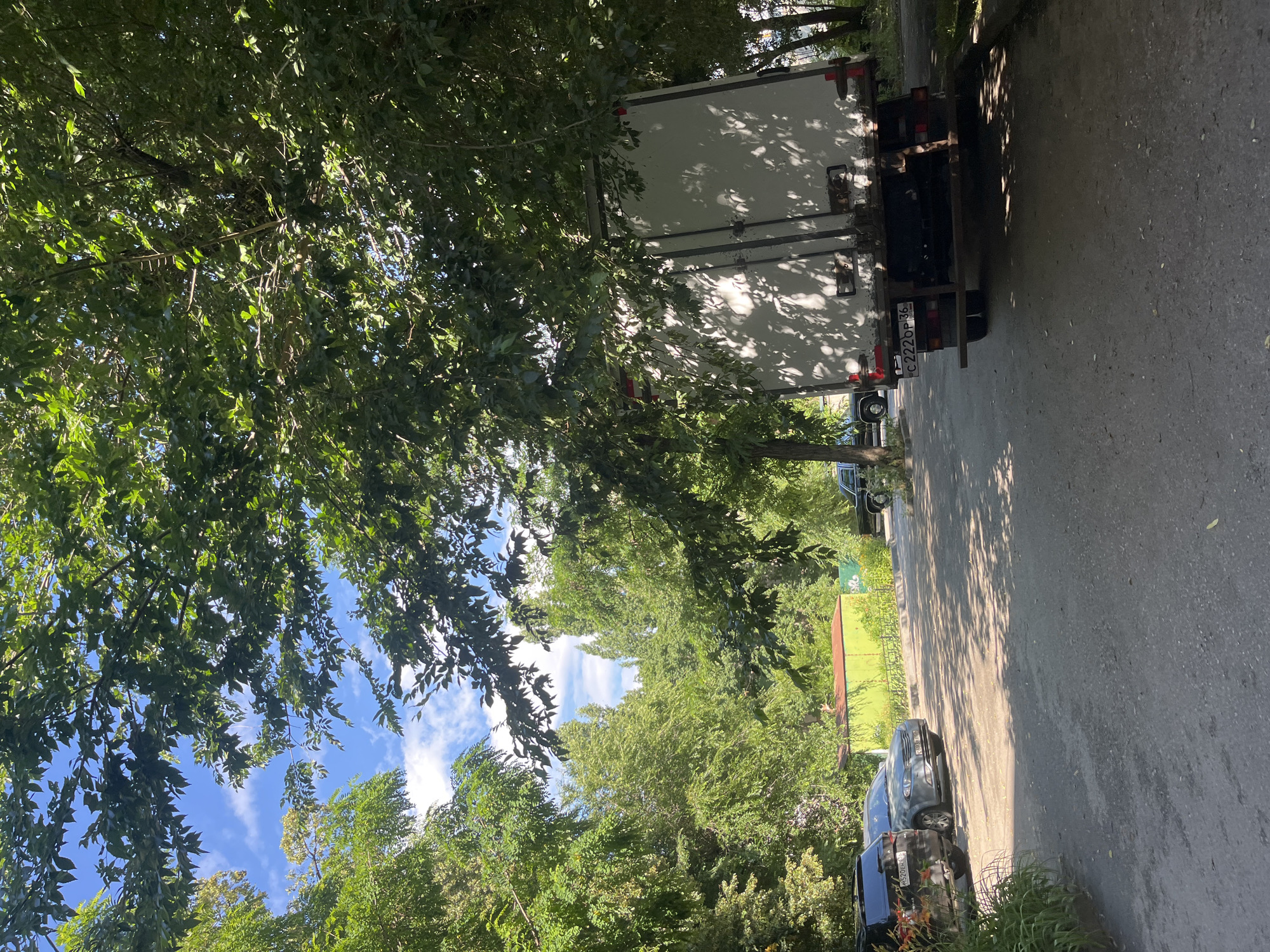 The image captures an outdoor scene dominated by lush green trees, with the sky visible through the canopy. In the foreground, the rear of a white box truck is prominent, its doors closed. A license plate on the truck reads "C222OP 36". To the right of the truck, a paved surface, likely a road or parking area, stretches into the distance, dappled with sunlight and shade from the trees. Several cars are parked along the edge of this paved area. The overall impression is one of a sunny day, with ample vegetation suggesting a location with natural surroundings, possibly a residential area or a park in Voronezh, Russia. The lighting indicates it is daytime, with the sun casting distinct shadows. No people are visible in the frame.