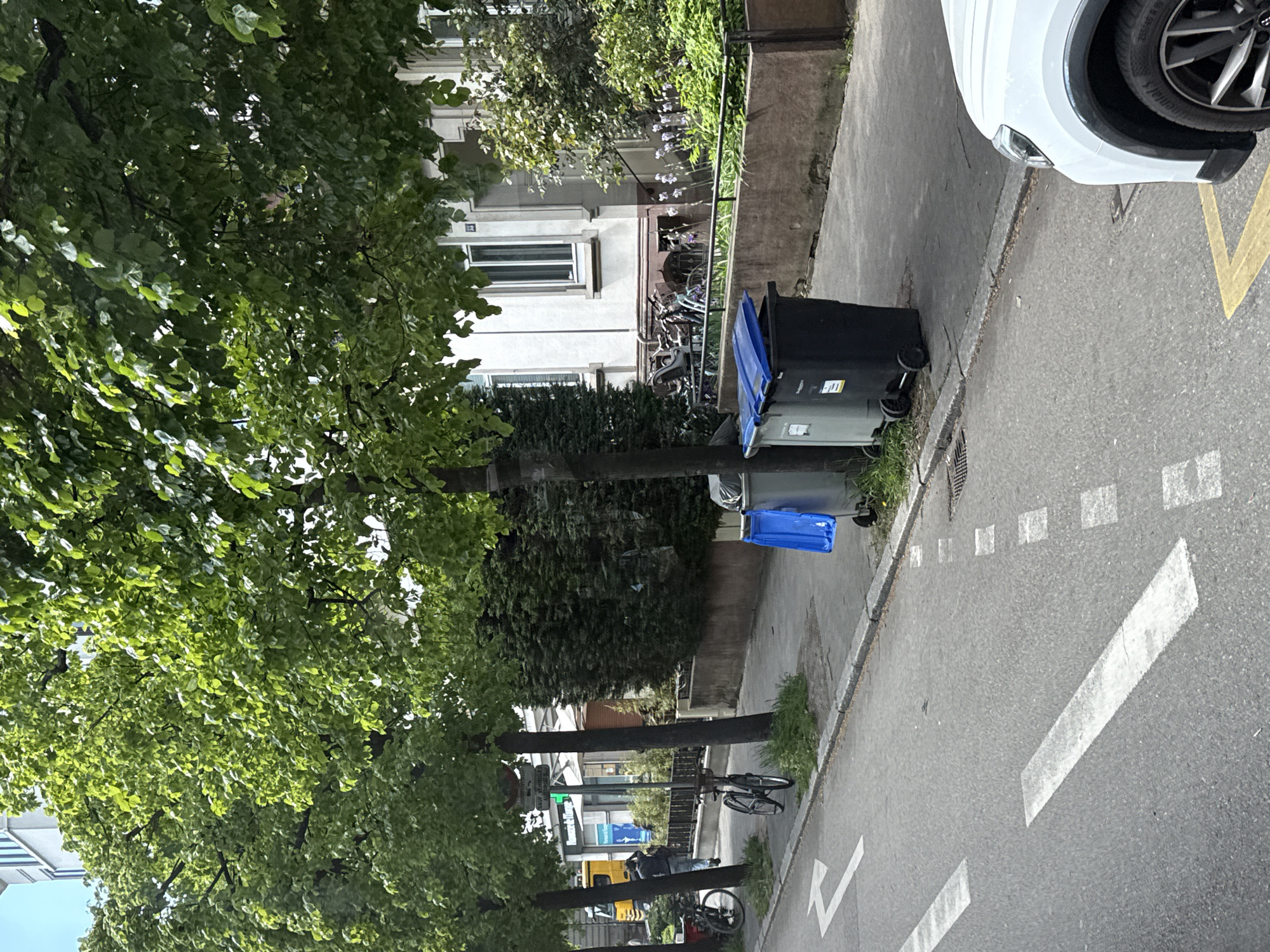 This image captures a bright, daytime street scene, likely from an elevated perspective overlooking a residential area. The lush green canopy of numerous trees dominates the left side of the frame, suggesting a spring or summer setting.
In the mid-ground, a paved sidewalk features two large, wheeled waste bins: one dark grey with a blue lid, and a smaller, entirely blue one. Further along the sidewalk, a cluster of bicycles is parked. Behind the sidewalk, several multi-story buildings, likely residential, line the street. One building clearly displays the number "12" on its facade. Hedges and some flowering plants are visible in front of these structures.
The right side of the image depicts a grey asphalt road with various white and yellow markings, including arrows, dashed lines, and a solid yellow line. A white car, with its front right wheel and partial bumper visible, is parked along the curb. The tire distinctly shows the brand name "Continental."
In the background, a yellow truck can be partially seen, along with a green cross sign (typically indicating a pharmacy) and a red circular prohibitory traffic sign. The scene appears calm and orderly, typical of an urban street in Strasbourg, France. No individuals or specific activities are prominently visible.