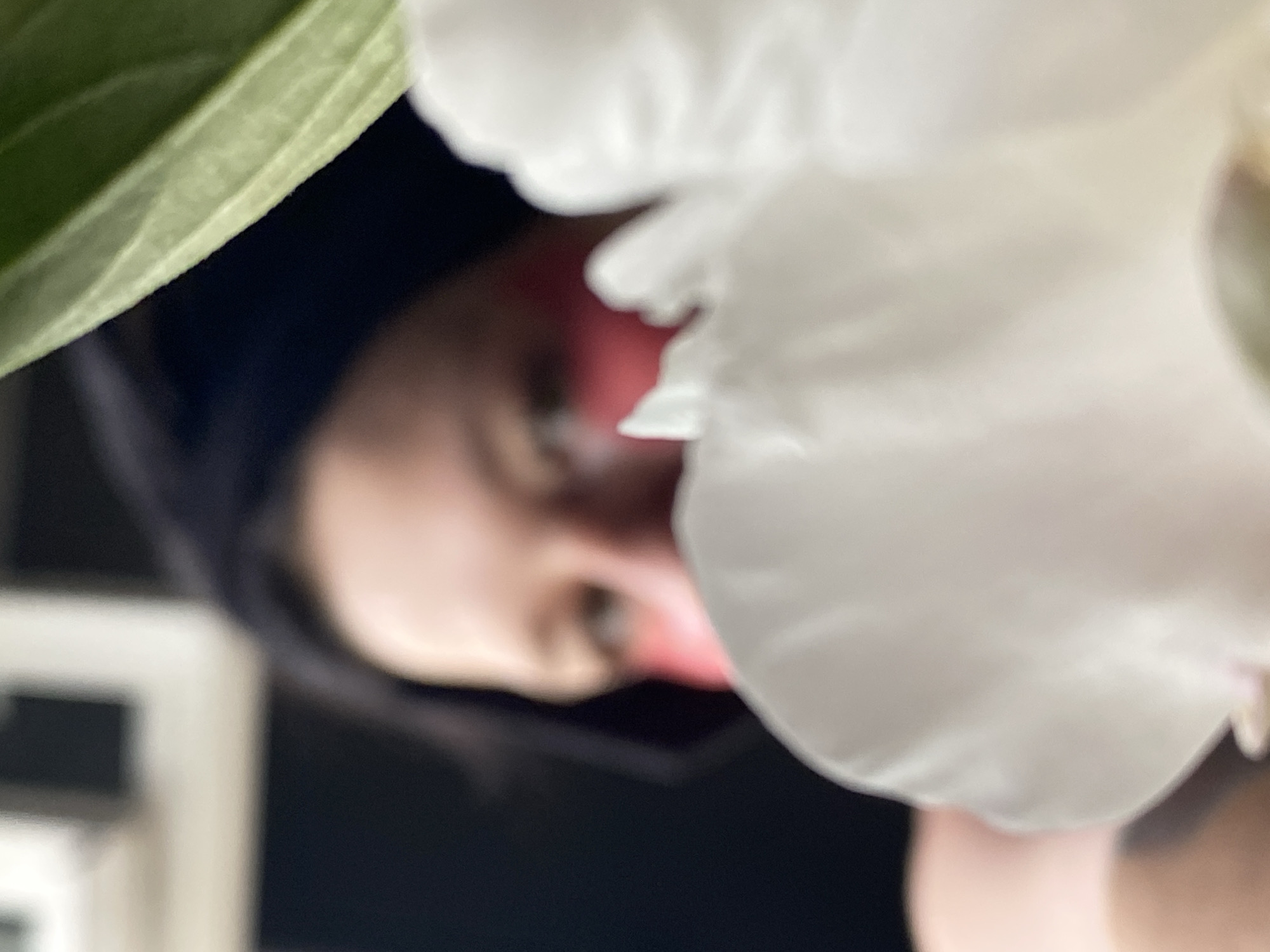 The image is a close-up, out-of-focus shot of a person wearing pink under-eye patches. The person's face is partially obscured by a white flower in the foreground and a green leaf on the right side. The background is dark and blurred, with some lighter rectangular shapes suggesting a room. The person has dark hair and is looking towards the viewer. The scene appears to be indoors, possibly in a domestic setting, and there are no specific indicators of its location within Chaikovsky, Russia.