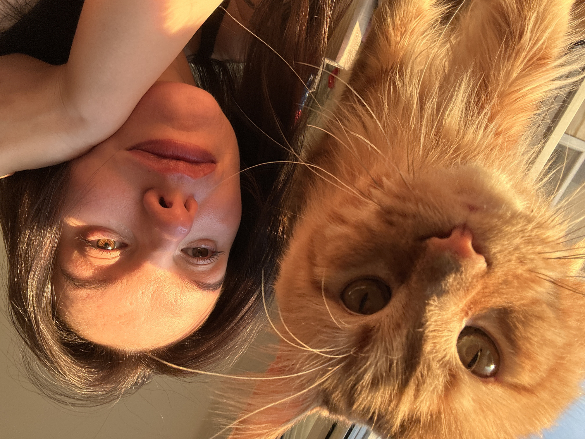 A close-up selfie shows an orange tabby cat in the foreground, its face filling the left side of the frame. To the right, a young woman rests her head on her arm, looking at the camera. The warm, golden light suggests it's late afternoon or early morning, possibly near a window. The background is blurred, but hints of architectural elements like blinds or window frames are visible. The woman has dark hair and is wearing light-colored clothing. Her facial expression is relaxed and content. The cat's fur is detailed, and its large, expressive eyes are prominent. The overall impression is one of intimacy and connection between the woman and her pet. The image was taken in Chaikovsky, Russia, a city known for its beautiful natural landscapes and proximity to the Kama River.