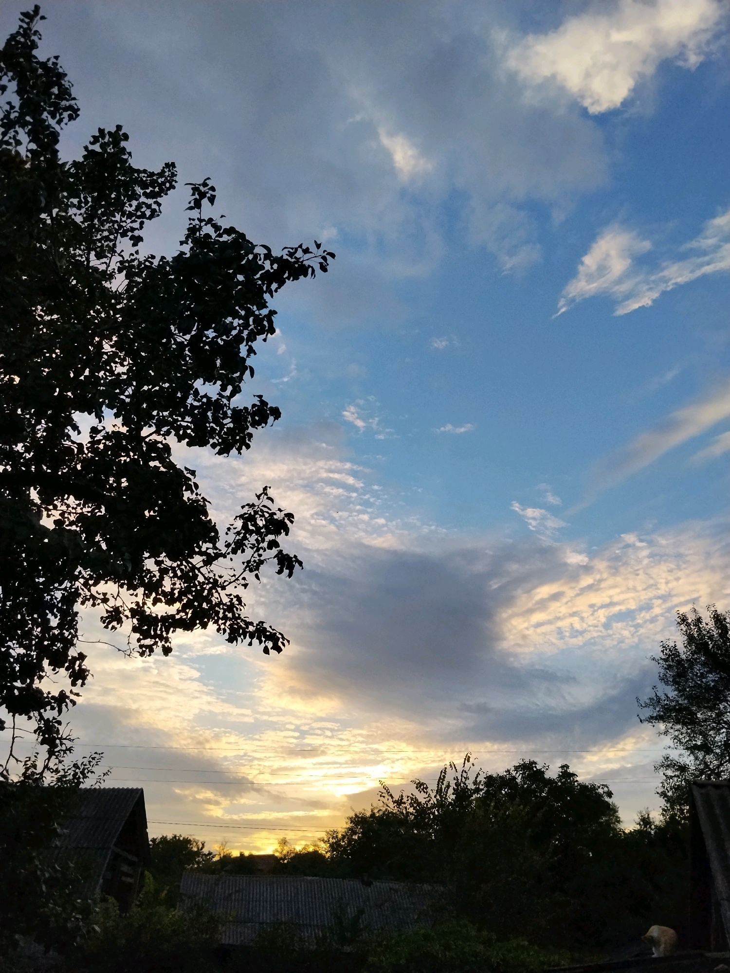 The image depicts a rural landscape at dusk or dawn in Ustyvytsia, Ukraine. In the foreground, silhouetted against a pale sky, is a large tree branch laden with leaves on the left side of the frame. Below the tree, the rooftops of two small, rustic buildings are visible, partially obscured by dense foliage. These buildings appear to be simple structures, possibly sheds or houses, with corrugated roofs. The sky is a gradient of blue and muted yellow, with scattered clouds that are illuminated by the setting or rising sun, creating a soft, diffused light. In the distance, more trees form a dark, undulating line against the horizon. A power line stretches horizontally across the middle ground. The overall impression is one of peaceful, rural twilight.