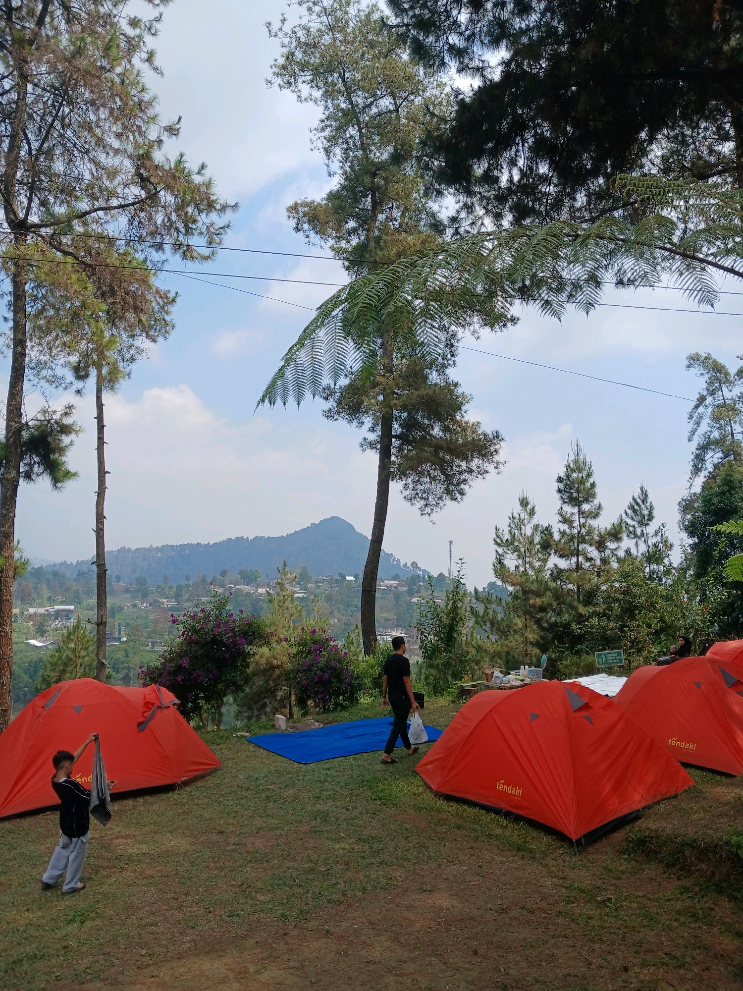 In Berjo, Indonesia, a campsite is set up on a grassy hillside overlooking a valley. Several orange tents are pitched, some with the brand "tendaki" visible. A young boy in grey pants and a dark shirt stands near one of the tents, holding a grey towel. Another person in a dark shirt walks away from the viewer towards the tents, carrying a white plastic bag. A blue tarp is laid out on the grass. In the background, a hazy mountain range rises above a village nestled in the valley, dotted with houses. Tall pine trees and lush green foliage surround the campsite. The sky is a mix of blue with scattered clouds.