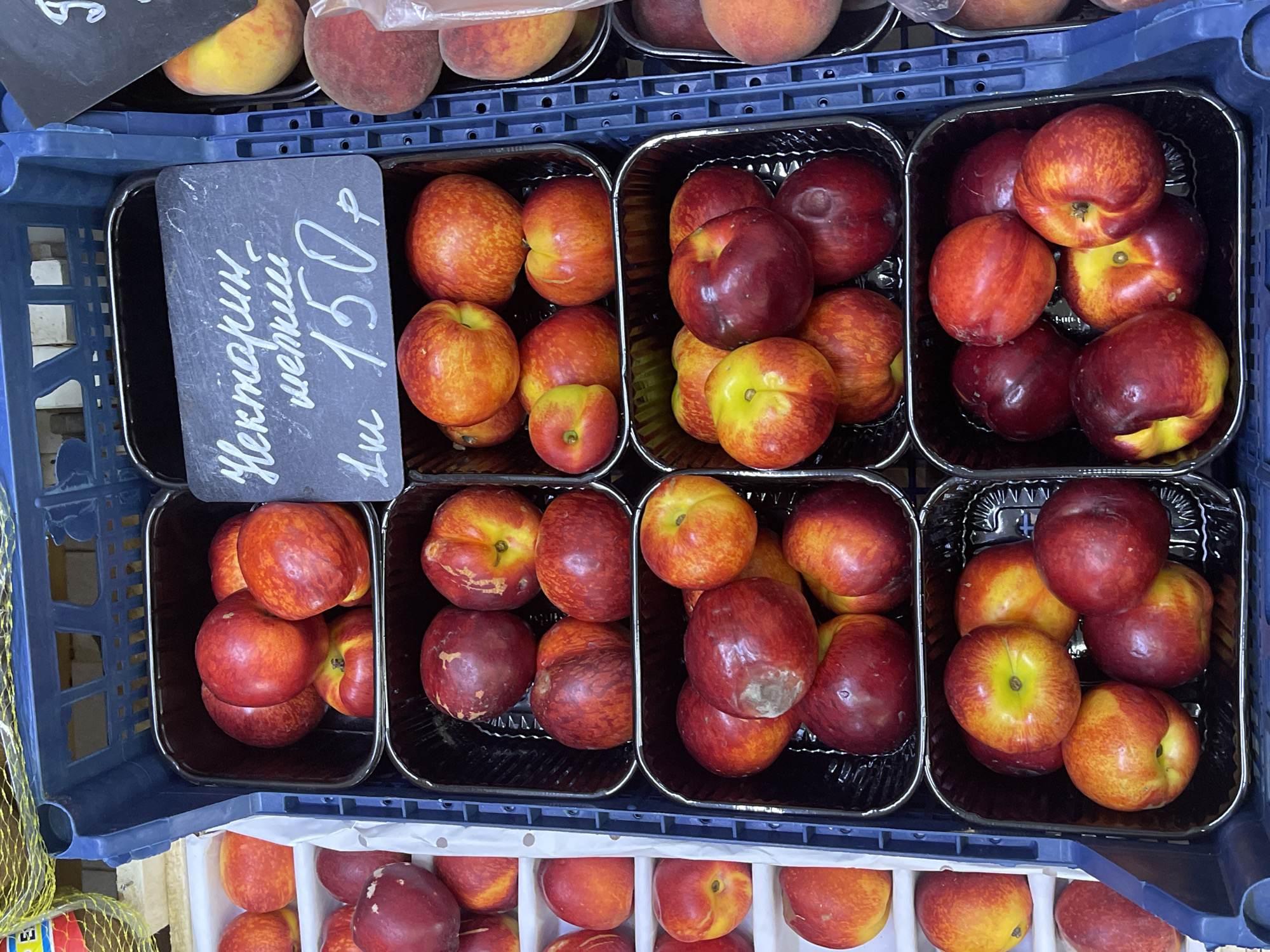 The image shows a close-up of nectarines displayed in plastic containers within a blue crate at a market stall in Aleksandrovskoye, Russia. The nectarines are predominantly red and yellow, with some showing blemishes. A handwritten sign in Russian is visible, indicating "Нектарин шелковый" (silky nectarine) and a price of "1 кг 150 р" (1 kg 150 rubles). The background is slightly blurred but suggests a market environment with other fruits and crates. There are no people or actions depicted in the scene.