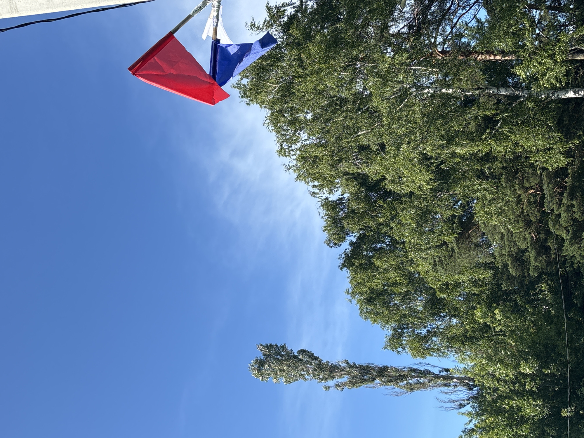 The image shows a clear blue sky with a few wispy clouds. In the upper left quadrant, there are three small flags strung together on a line, with a white structure visible above them. The flags are red, white, and blue. To the right of the flags, a dense canopy of green leaves from several trees dominates the frame. One tree in particular, taller and more slender than the others, stands out against the sky in the lower middle section. The overall impression is a bright, sunny day, likely outdoors in a wooded area, possibly in or near Vsevolodovo, Russia, given the context. No specific activity or event is clearly depicted, and no text is visible in the image. The lighting suggests it is daytime.