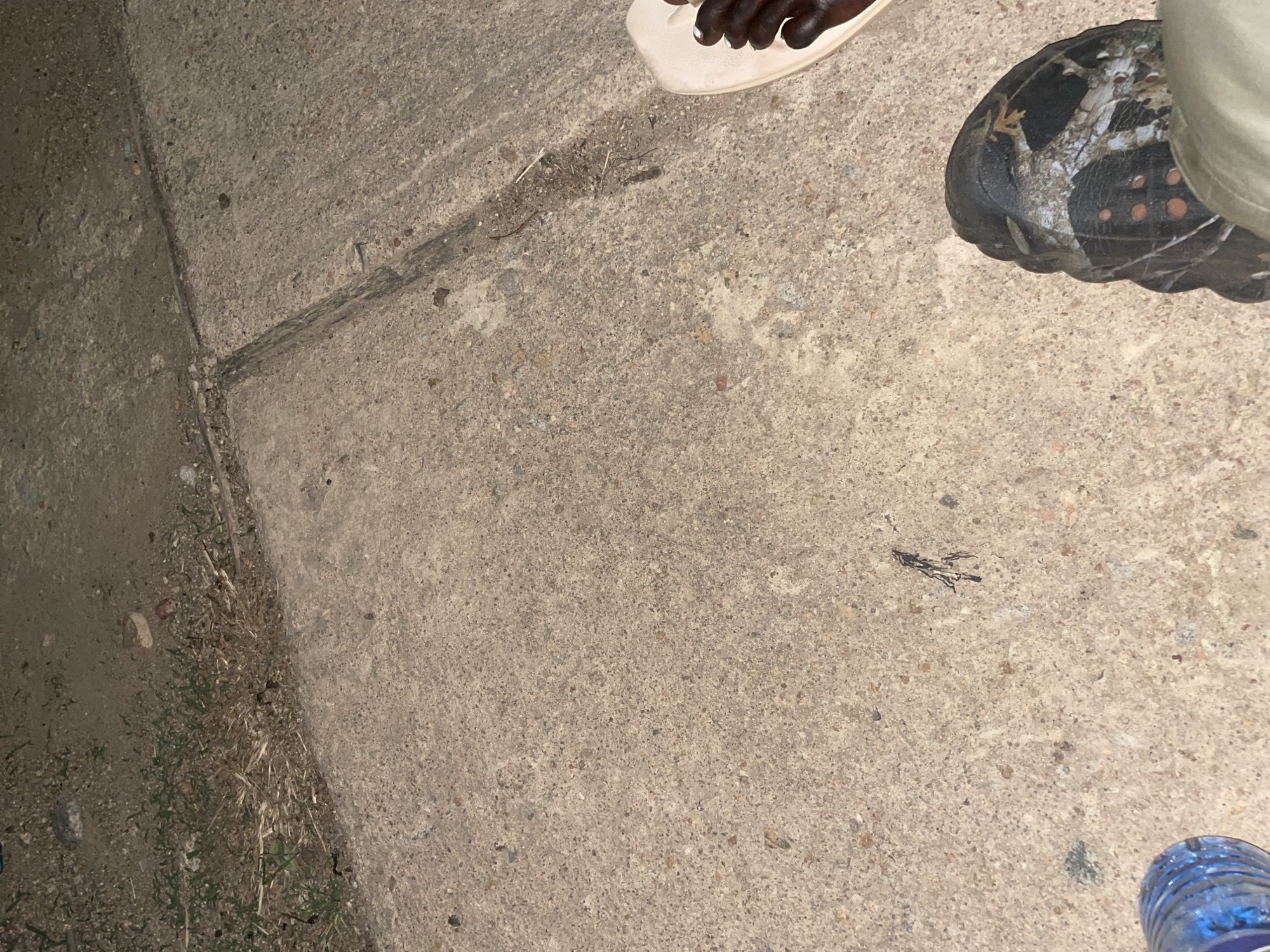 The image depicts a concrete surface, likely a sidewalk or pavement, with a visible seam. Vegetation is present along the left edge of the concrete. In the upper portion of the image, a foot wearing a white sandal and a foot wearing a camouflage-patterned Croc are visible. A partially visible water bottle is present in the lower right corner of the image. The location is described as Jos, Nigeria.