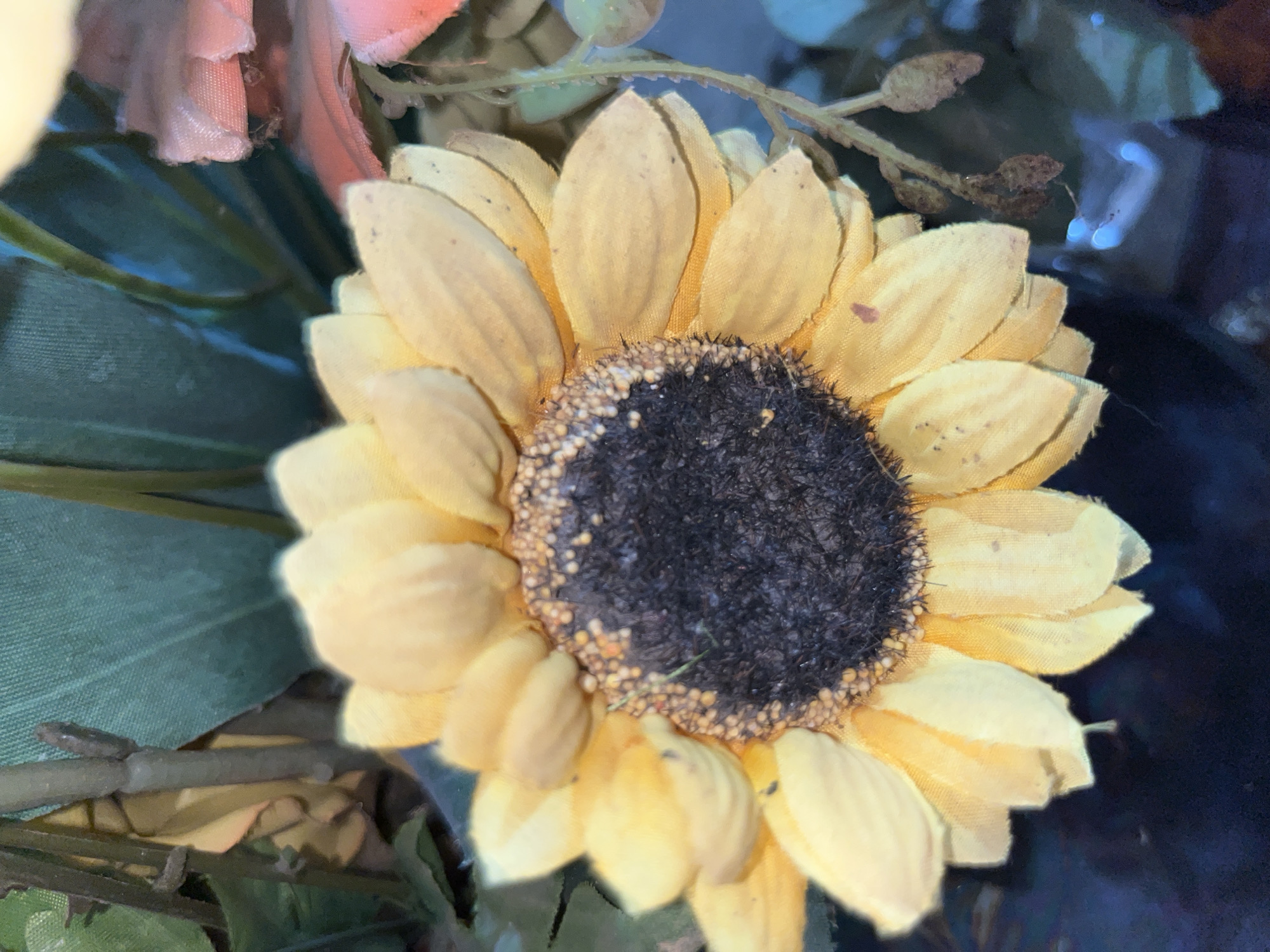 The image shows a yellow sunflower with a dark brown center, surrounded by green leaves. The sunflower is slightly off-center, with the top of the flower closer to the top edge of the image. A pink flower is partially visible in the top-left corner.
There is no visible indication of the location being Tinaquillo, Venezuela, or any other city. No people are visible.