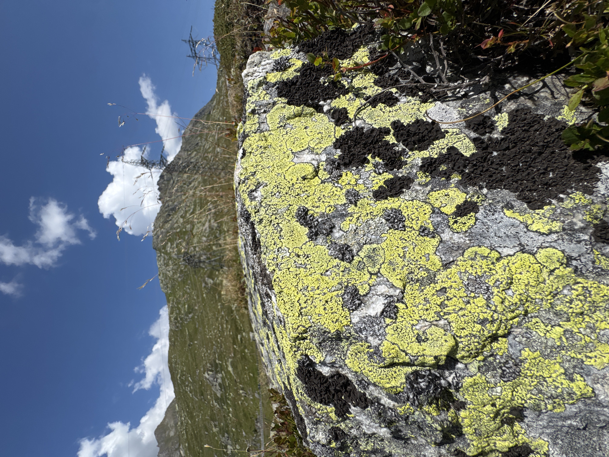 The image depicts a close-up view of a large rock in a mountainous landscape. The rock is covered with patches of bright yellow and dark black lichen. In the background, a grassy, rocky mountainside rises under a clear blue sky with scattered white clouds. Power lines and pylons are visible on the mountainside, suggesting proximity to infrastructure. The vegetation around the rock appears sparse and consists of low-lying plants and grasses, typical of a high-altitude environment. The lighting indicates it is daytime, likely a sunny day. The scene is set in a natural environment, likely in the vicinity of Airolo, Switzerland, given the mountainous terrain and infrastructure. There are no people or animals present in the image.