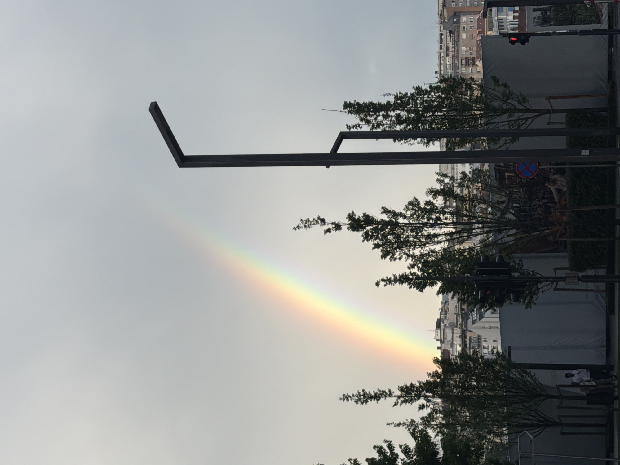 A horizontal shot taken in Belgrade, Serbia shows a partial rainbow against a light gray sky. The rainbow stretches from the lower center-left of the frame diagonally up to the upper-right. The foreground consists of dark gray metal structures, possibly parts of streetlights or signposts. Trees with green foliage partially obscure the view of the rainbow and the city buildings in the background. In the background, buildings of various heights and architectural styles are visible. A traffic light with a red light illuminated is present. A no-parking sign is also visible, partially obscured by foliage. The scene has an urban atmosphere, suggestive of a city street after rainfall. There is a human figure partially seen to the right of the frame.