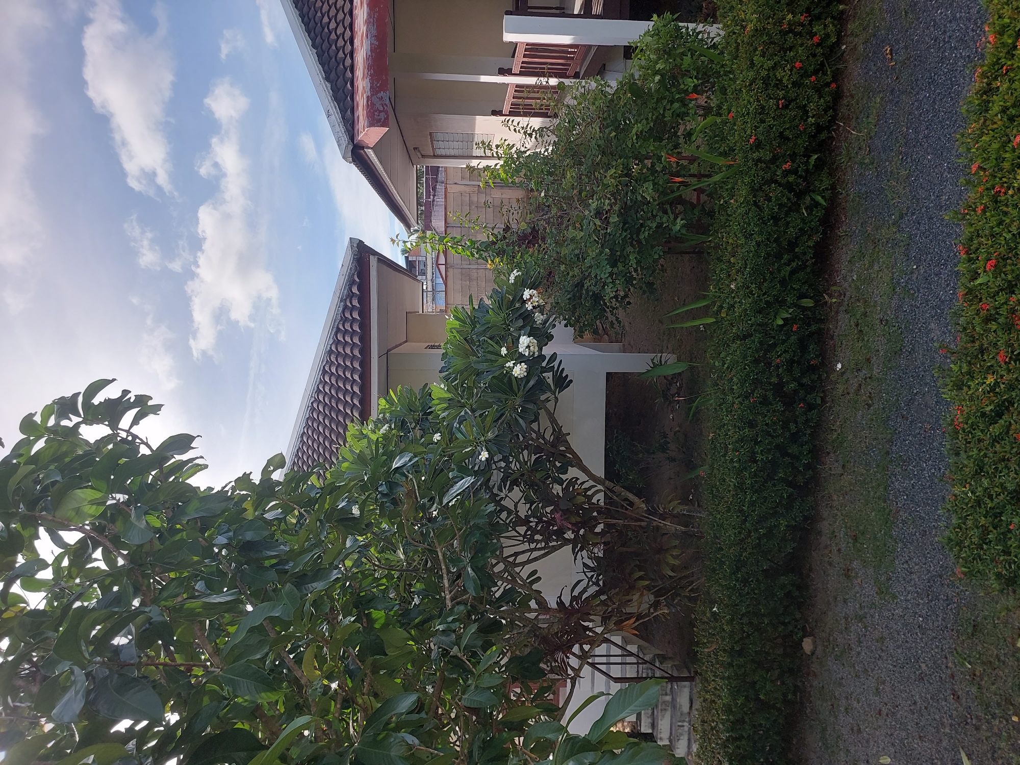 In Baan Mae Nam, Thailand, two bungalow-style buildings with red tiled roofs are visible under a partly cloudy blue sky. A large tree with green leaves dominates the left side of the foreground, partially obscuring the stairs leading up to the left bungalow. A smaller tree with white flowers stands in front of the left bungalow, and to its right is a dense green shrub. The right bungalow features a wooden railing on its porch. A gravel path runs through the foreground, bordered by green bushes with small red flowers. The environment appears to be a tropical resort or residential area.