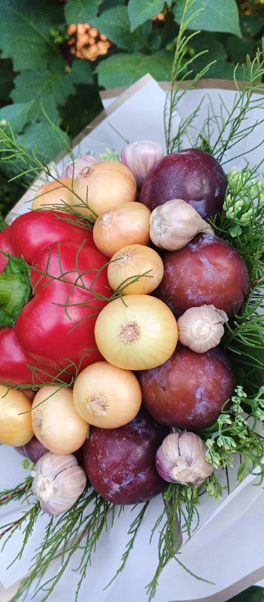 In the city of Smila, Ukraine, a close-up overhead shot captures a bouquet of fresh produce. The arrangement features several ripe red bell peppers, their glossy skins contrasting with the pale yellow of numerous onions. Interspersed among the vegetables are deep purple plums, their smooth surfaces showing subtle variations in color. Several heads of garlic, with their papery white and purple husks, are also visible. The produce is nestled amongst sprigs of dark green evergreen foliage, likely part of the bouquet's decoration. The lighting is natural, suggesting the photograph was taken outdoors during the day.