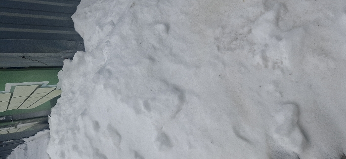 This image, captured in Yantarniy, Russia, depicts an outdoor environment heavily covered in snow. The foreground and midground feature an uneven expanse of white snow with varying depths, shallow depressions, and minor dark specks suggesting debris or dirt. In the background, two vertical structures are present. The left structure is a flat, green wall adorned with a pattern of light-colored, angular geometric shapes. The right structure is a dark grey corrugated metal surface, likely a fence or building exterior, partially obscured by the snow accumulation at its base. No individuals, animals, or actions are depicted within the scene.