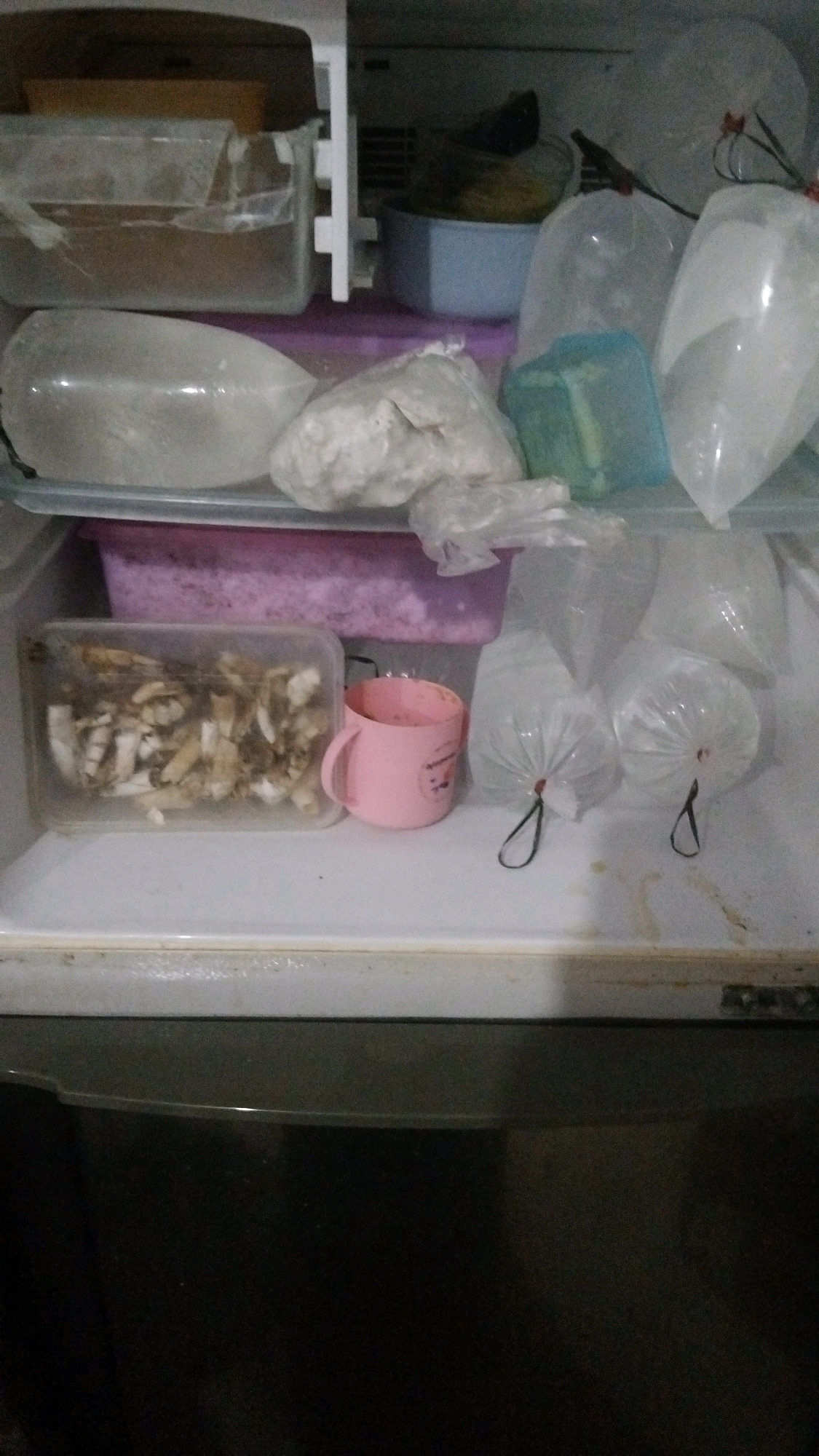The image depicts the interior of a refrigerator in a residence in Kebon IX, Indonesia. The refrigerator contains various food items and containers. On the top shelf, there is a clear plastic container with a brown substance, and next to it, a blue plastic bin with a yellow object. Several clear plastic bags filled with a translucent liquid are also visible on this shelf. Below this, a purple plastic container holds a granular pink substance. On the shelf below, a clear plastic container holds sliced, light brown food items, possibly mushrooms or roots. A pink mug with a handle is placed next to this container. Further to the right, there are more clear plastic bags filled with a translucent liquid, each tied with a dark string. The refrigerator door shelves are not visible. The overall environment suggests a domestic kitchen setting.