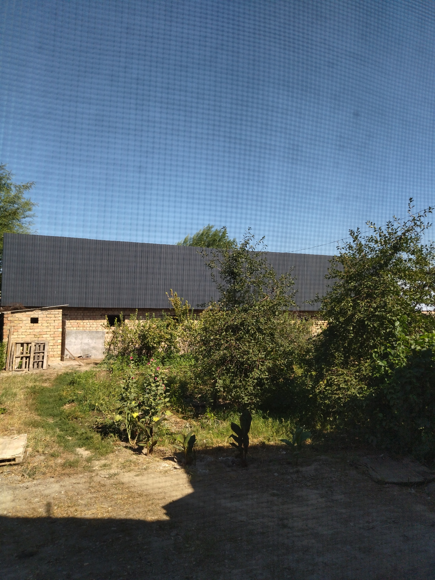 The image depicts the exterior of a brick building with a dark grey corrugated metal roof. The building appears to be under construction or renovation, with visible brickwork, a concrete section, and a wooden structure resembling a gate or shutter on the left side. Overgrown greenery, including bushes and trees, surrounds the building. The ground in the foreground is a mix of dirt and dry grass, with a shadow cast across it, suggesting the presence of an unseen structure or object. The sky above is clear and blue, with a faint grid pattern visible, possibly indicating that the photo was taken through a screen or window. The location is identified as Мраморное, Kyrgyzstan.