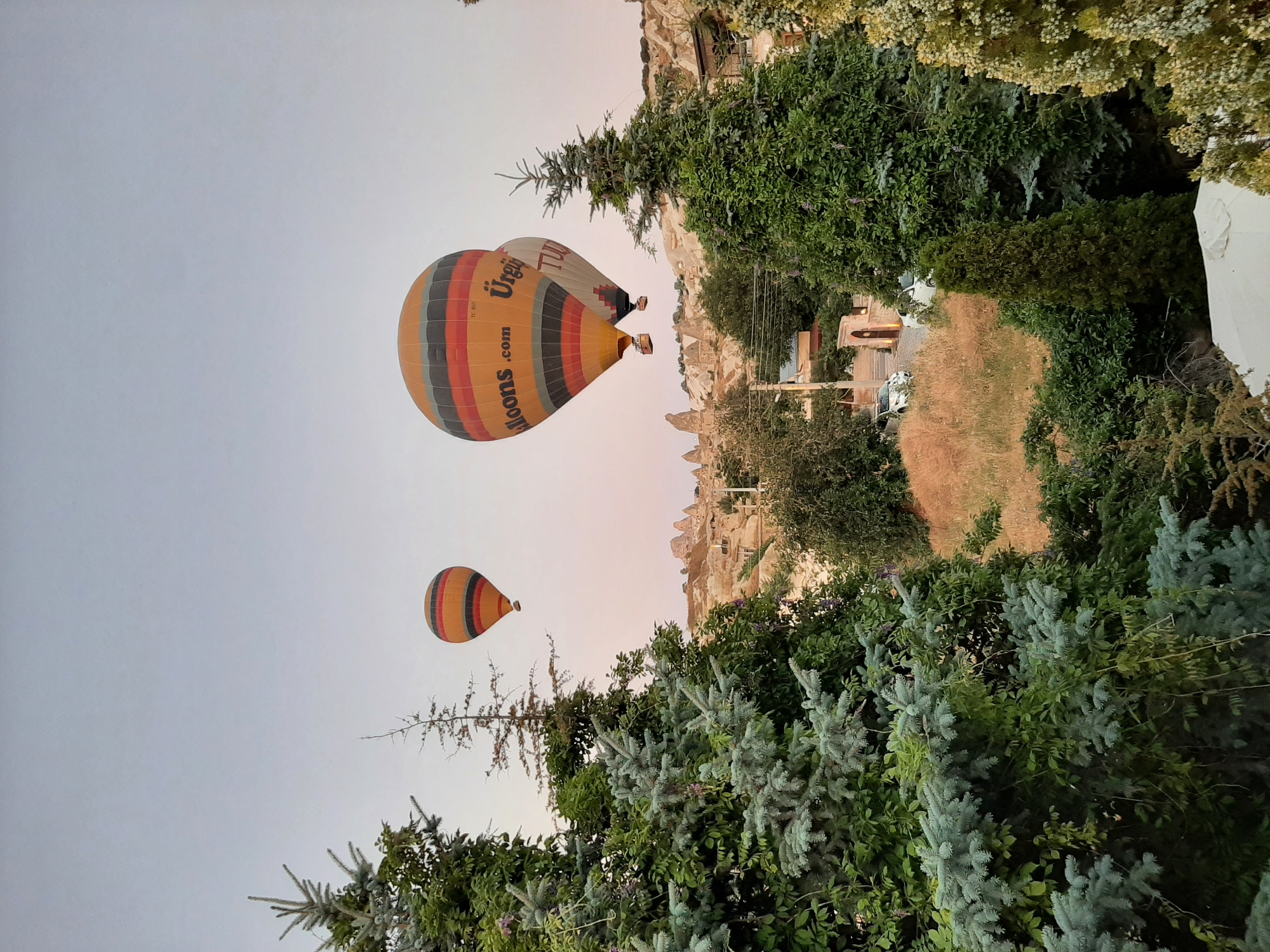 The image depicts a scenic view of hot air balloons floating over the unique landscape of Göreme, Turkey. Three hot air balloons are visible in the sky. The largest balloon, in the center, is predominantly yellow with orange and gray stripes, and displays the text "Balloons.com" and "Ürge." Another balloon, to its left, is smaller and features orange and dark gray stripes. A third, partially obscured balloon is visible behind the large one, appearing white with some text.
The foreground of the image is dominated by lush green trees, including what appears to be a blue spruce on the left and other varied foliage. The middle ground showcases the distinctive fairy chimney rock formations characteristic of Göreme. A pathway or road is visible, with two white cars parked. Buildings with archways and windows are nestled into the rock formations. The sky is a pale, muted color, suggesting either early morning or late evening light. The overall scene conveys a peaceful and awe-inspiring atmosphere of a popular tourist destination.