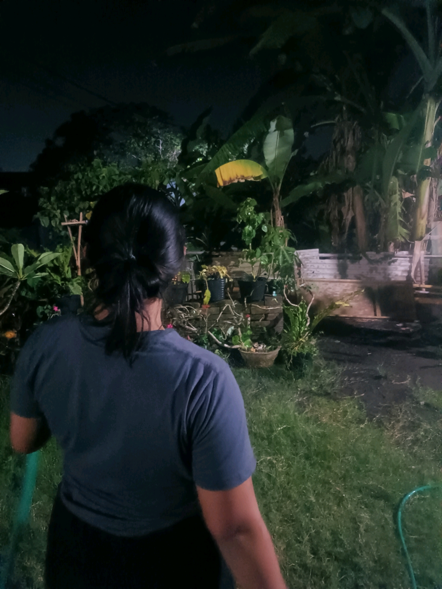 The image depicts a rear view of a person from the shoulders up, wearing a dark blue t-shirt and black pants, standing in a grassy yard at night. The person's dark hair is pulled back into a low ponytail. In the background, there are several potted plants, including banana plants, and other foliage. The lighting suggests it is dark outside, possibly with ambient light from artificial sources casting shadows. The location is specified as the city of Tabanan, Indonesia. The overall scene appears to be an outdoor residential area at night.