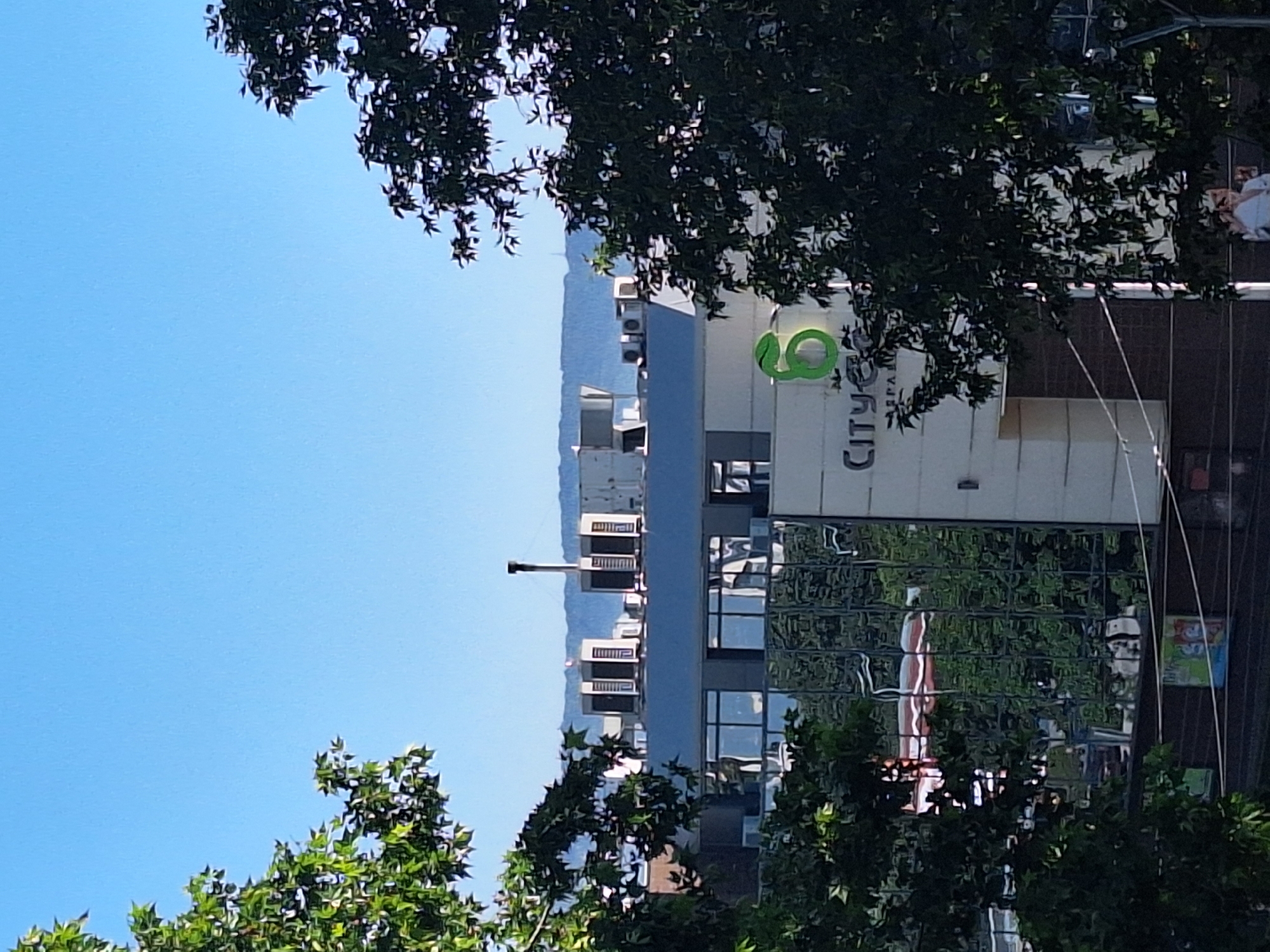 In the city of Varna, Bulgaria, on a clear day, a modern building with reflective glass facades is partially obscured by lush green trees. The building features multiple floors, with visible air conditioning units on the rooftop. The signage on the building clearly displays "City". A prominent green logo, resembling a stylized number six with a snake, is also visible. In the background, distant hills or mountains can be seen against the bright blue sky. The lower part of the image shows more of the building's facade with reflections of the surrounding environment, including what appears to be vehicles and trees. Power lines are visible strung across the lower section of the frame.