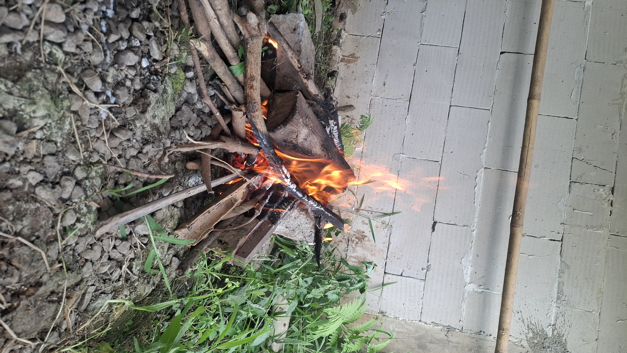 A small bonfire burns outdoors against a rough, off-white cinder block wall in Rahong, Indonesia. The fire is built with a large log as its base, surrounded by smaller branches and kindling. Several pieces of split bamboo are also present, some partially burned. The ground is covered with gravel and small stones, with patches of moss. Lush green vegetation, including ferns and other leafy plants, grows around the edges of the scene. A single bamboo pole is secured horizontally to the wall above the fire. The lighting suggests it is daytime, possibly late afternoon or early evening, with the fire providing its own illumination. There are no people visible in the image.
