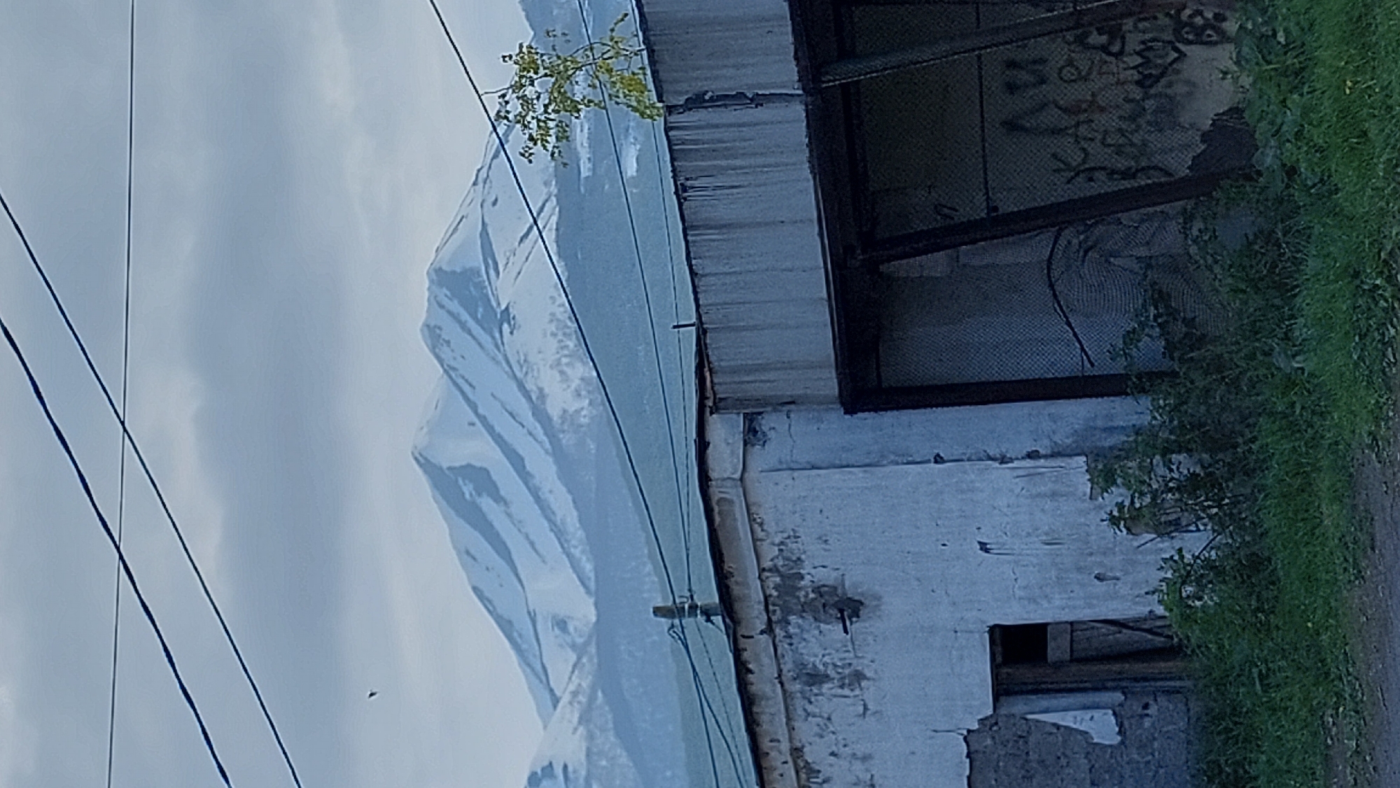 The image shows a low-angle, outdoor, full shot of a rural or semi-urban scene in Zeljony, Russia. In the foreground, a dilapidated white building with peeling paint and exposed brickwork stands to the left. A dark doorway is visible, and overgrown green vegetation covers the ground in front of the building. To the right of the building, a darker structure with a metal frame and mesh fencing is partially visible, with graffiti on the wall behind it. Above the building, power lines stretch across the frame. In the background, a large, snow-capped mountain range dominates the horizon under a cloudy, grey sky. A small, light-colored bird is in flight in the upper left portion of the image.