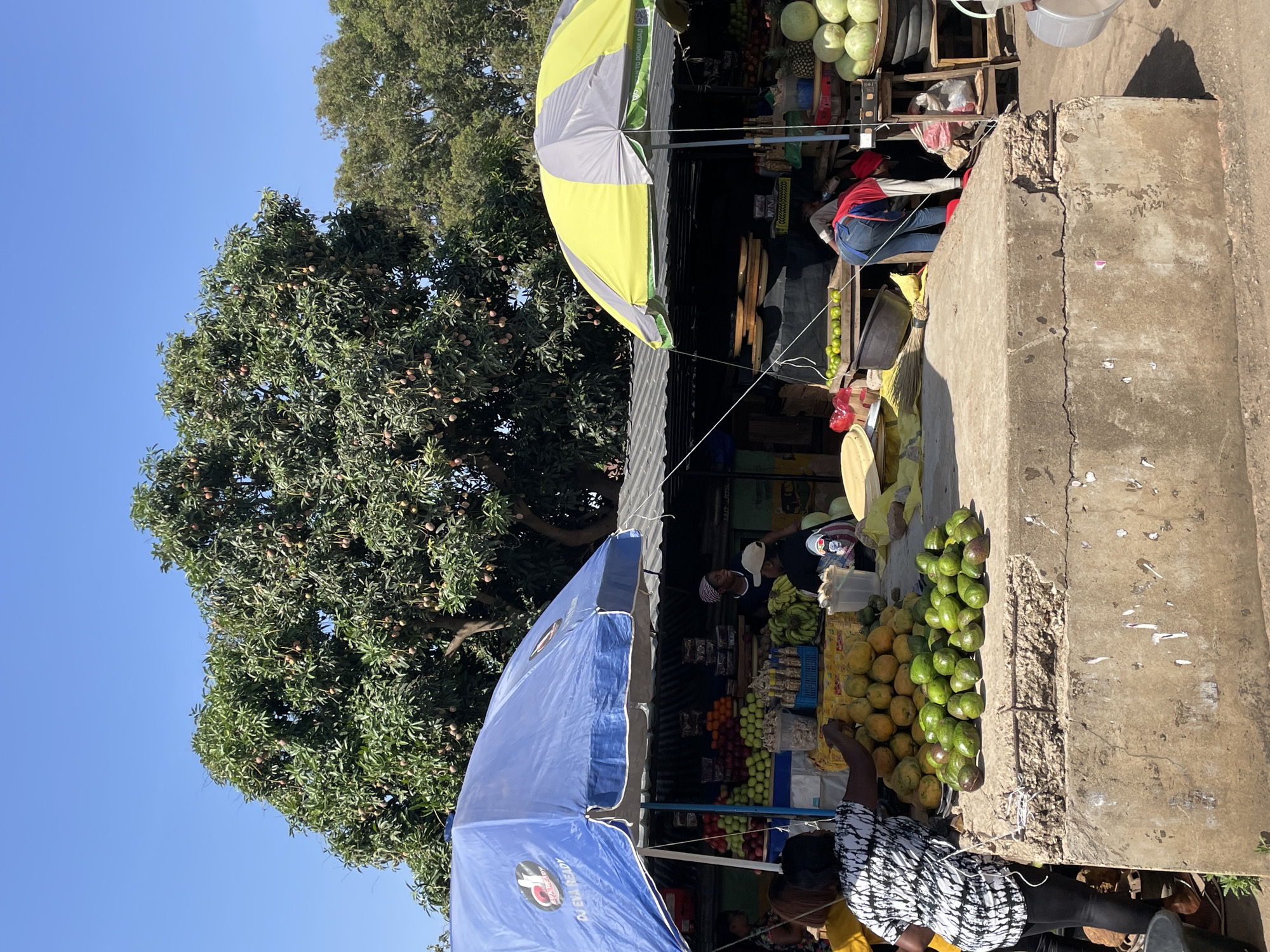 The image depicts an outdoor fruit market in Jos, Nigeria. Two vendor stalls are visible, each shaded by a large umbrella. The first stall features piles of green and yellow mangoes, bananas, apples, and citrus fruits. A woman in a black-and-white patterned shirt appears to be serving a customer. The second stall, slightly obscured, contains watermelons and other produce. People are present in the background, either browsing or working at the stall. A large, leafy tree with fruits is positioned to the left of the stalls. The sky is clear and blue. The structure behind the vendors appears to be made of weathered concrete.