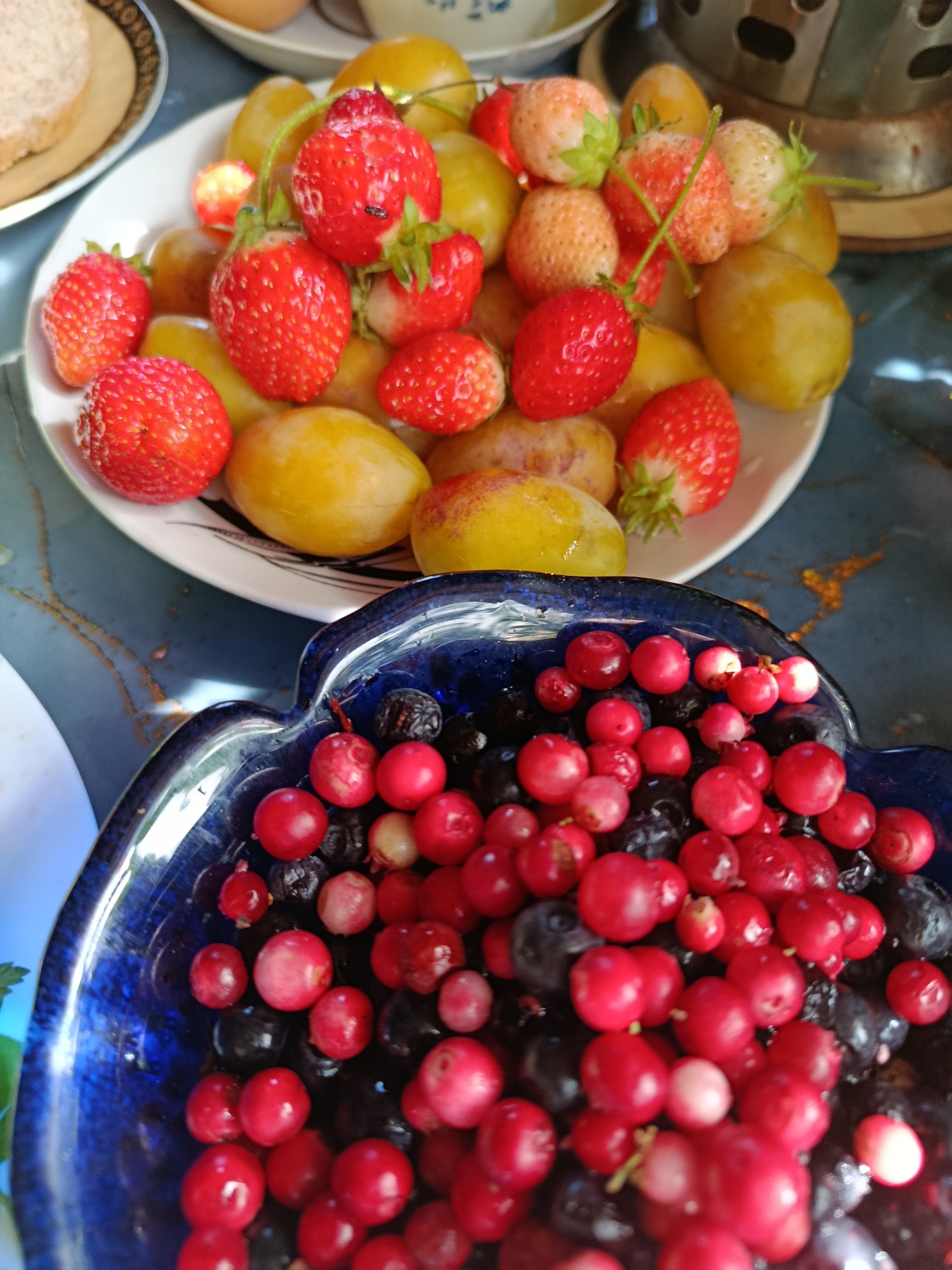 A high-angle, close-up shot showcases a collection of fruits and berries. In the foreground, a deep blue, wavy-edged bowl is filled with blueberries and cranberries. Behind it, a white plate holds strawberries and what appear to be plums or apricots. A slice of bread is visible on a separate plate to the left. The scene is set outdoors, with a blue, patterned tablecloth beneath the dishes. The lighting suggests a bright, sunny day. There are no people or animals present in the image. The location is the city of Vereya, Russia.