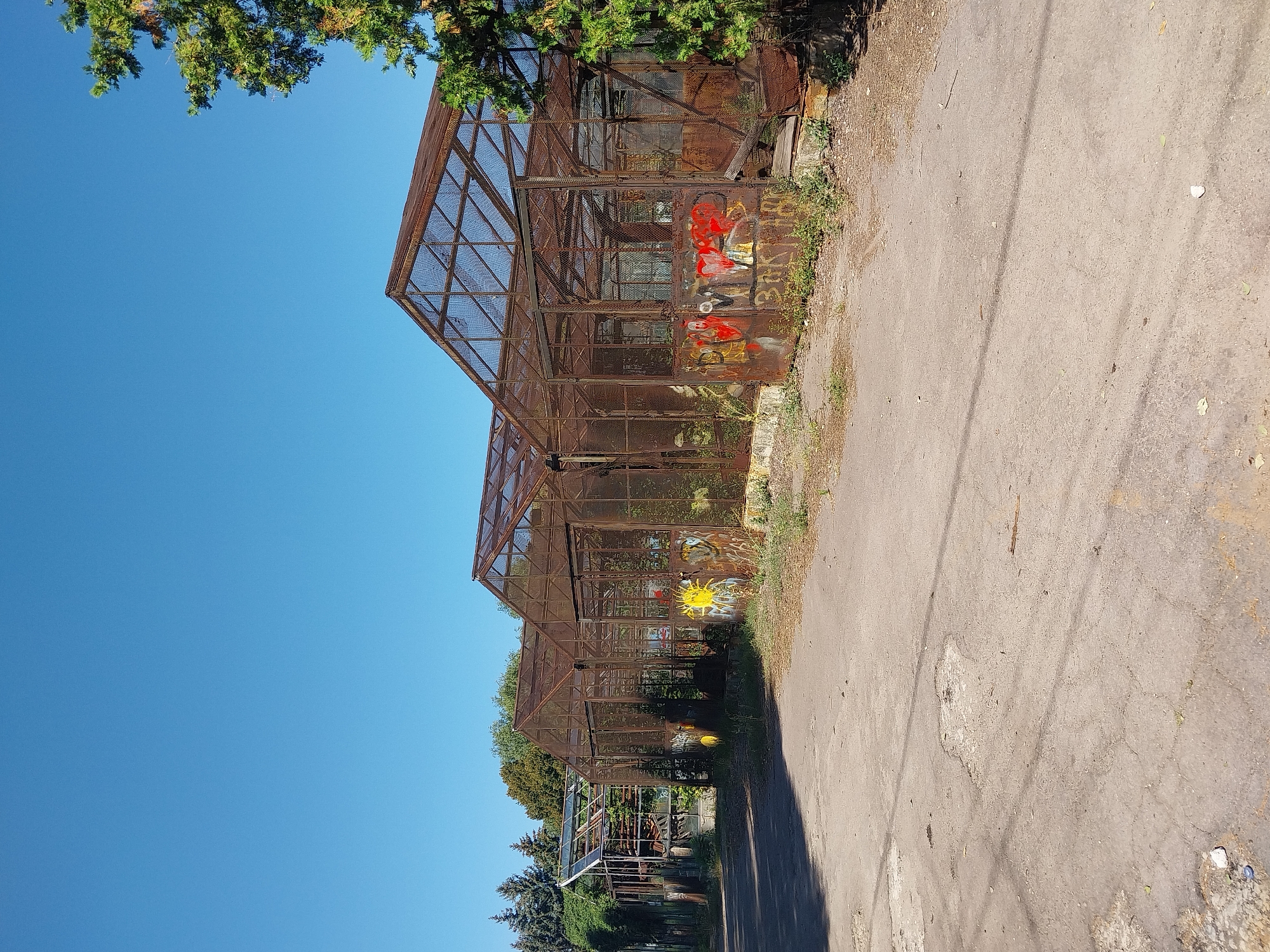 In Doslidne, Ukraine, the image captures a row of dilapidated greenhouses under a clear blue sky. The structures appear to be constructed from rusty metal frames and wire mesh, with broken glass panes and overgrown vegetation visible within. Graffiti adorns the exteriors of some greenhouses, adding a layer of decay and vandalism to the scene. The ground in front of the greenhouses is an unpaved, dusty surface with visible cracks and scattered debris. A mature tree with green foliage stands to the right of the frame, casting a shadow on the scene. The overall impression is one of abandonment and neglect.