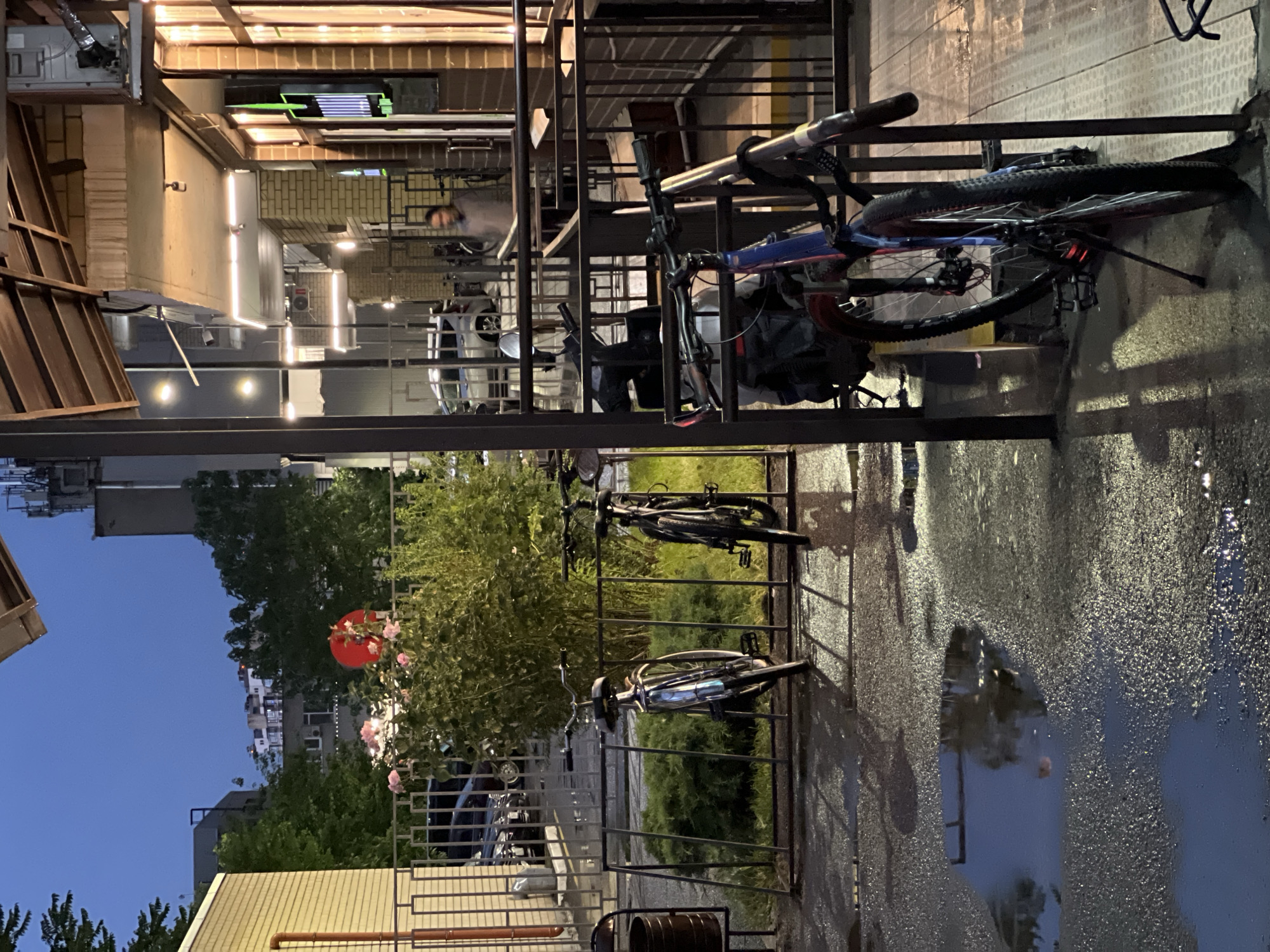 The image depicts a dusk scene outside a building with a covered walkway, likely in the city of Krasnodar, Russia. The ground is wet and reflects the ambient light, indicating recent rain. Several bicycles are parked near a metal railing. In the background, a person is walking away from the viewer, entering or exiting the building. The building itself appears to have storefronts with illuminated signage. A dense bush with pink roses is visible to the left of the bicycles. The overall atmosphere is subdued, illuminated by streetlights and the lights from the building.