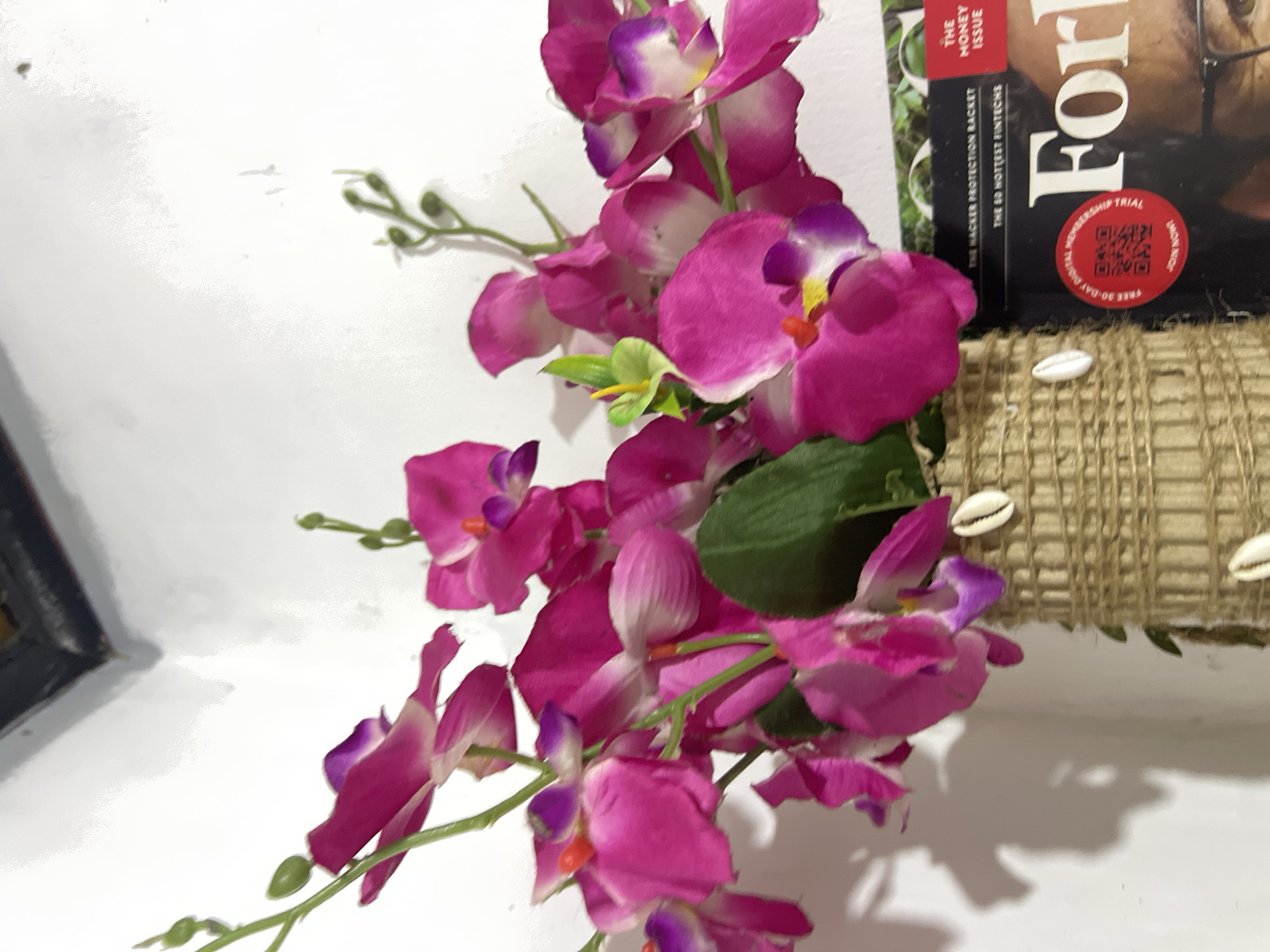 In Denpasar, Indonesia, an indoor scene is captured, focusing on a vase of artificial pink orchids. The vase, wrapped in a textured jute material, is adorned with several small, white shells. The orchids are a vibrant fuchsia with purple and white accents, and green stems and leaves are visible. Partially obscuring the lower right portion of the image is a copy of Forbes magazine, featuring the word "FOR" in large white letters. The background consists of a plain white wall, with a dark framed object visible at the top. The lighting suggests an artificial indoor environment.