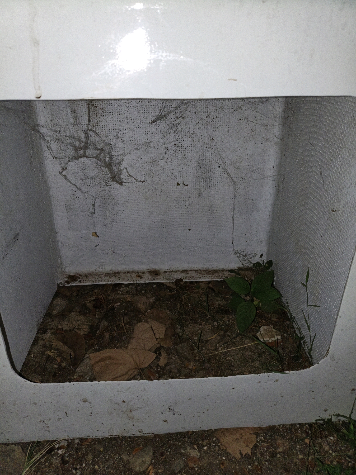 A white, rectangular opening is visible in the foreground, revealing a dark interior. The interior walls appear to be made of a textured, white material. The floor of the opening is covered in dirt, fallen leaves, and a small green plant. Cobwebs are visible on the interior walls. The scene is likely outdoors, given the presence of dirt and vegetation. There is no indication of the specific location within Cikal, Indonesia, or any people present.