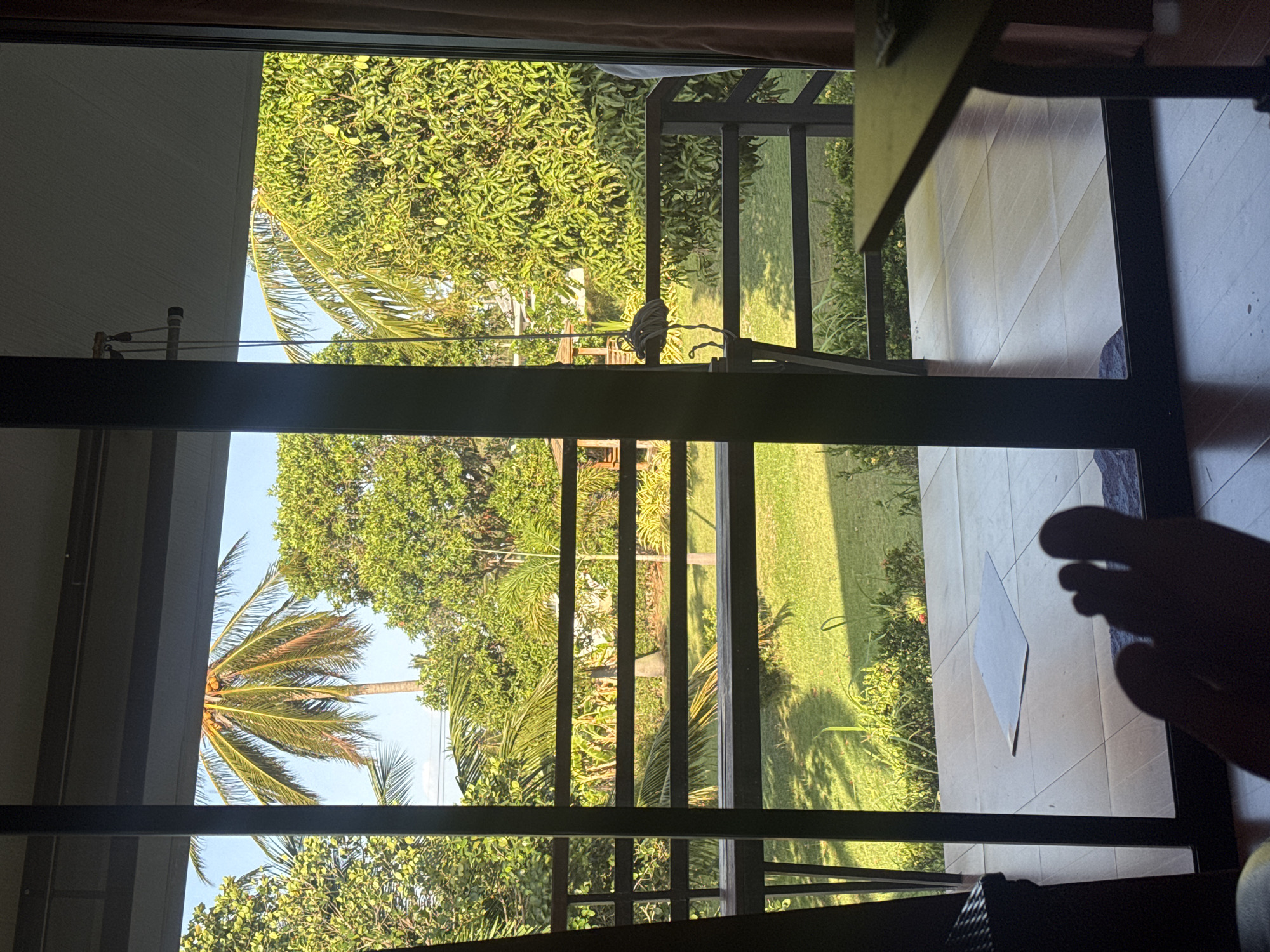 The image depicts a view from an indoor space, looking out through a large glass sliding door onto a tropical outdoor area. In the foreground, a human foot is visible, silhouetted against the light. The interior floor appears to be wooden. Beyond the glass door, a wooden balcony railing runs horizontally across the frame.
The outdoor scene features a lush green lawn, illuminated by bright sunlight, casting dappled shadows from trees. Several palm trees are prominent, including one with a very full crown of fronds in the center. Other trees with dense green foliage are also present. In the middle ground, a small, rustic wooden gazebo or hut can be seen. There is also what appears to be a decorative flamingo statue on the balcony. The overall environment suggests a warm, tropical climate, consistent with a location in Ko Samui District, Thailand. The sky is a clear blue.