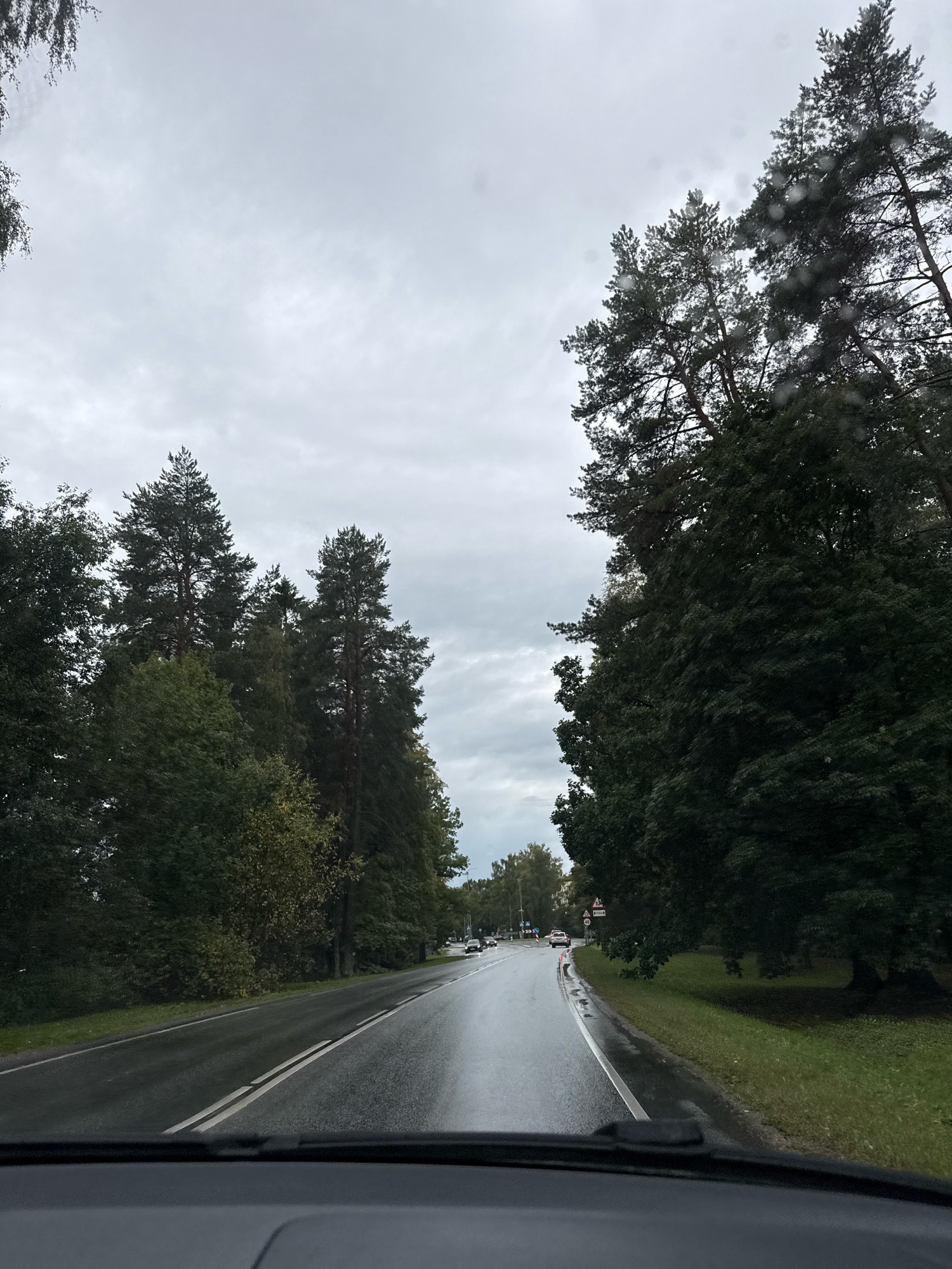 The image shows a view from inside a vehicle, looking out through a wet windshield onto a paved road. The road is wet and reflective, indicating recent rain. It curves to the right in the distance. On the left side of the road, there is a grassy verge and a dense line of tall, dark green trees, including several pine trees. On the right side of the road, there is a grassy area with a large, dark green deciduous tree. The sky is overcast and gray. Several cars are visible on the road in the distance. There are traffic signs present, including a speed limit sign that appears to indicate 50 km/h. The environment suggests a rural or suburban setting outside of the main city. The lighting is dim and diffused, consistent with a cloudy day. The impression is that this is a road in the municipality of Saku, Estonia, given the presence of pine trees and the general landscape which is consistent with the region.