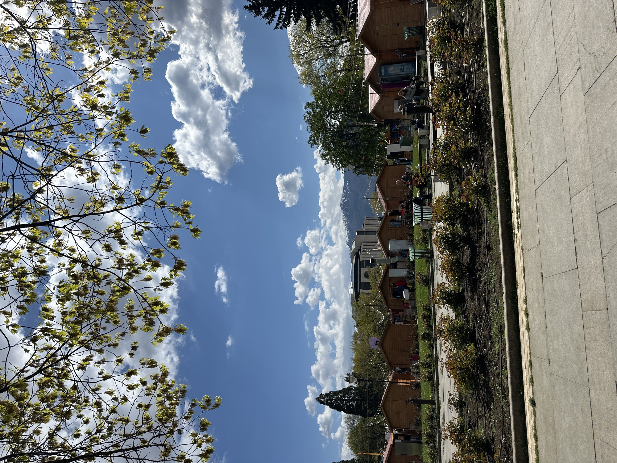 This image captures a vibrant outdoor market or fair scene in Sofia, Bulgaria, under a bright, sunny sky. The perspective is tilted, but when viewed upright, the foreground on the left shows the intricate branches of a tree adorned with fresh, light green leaves, framing the upper left portion of the blue sky filled with scattered white clouds.
To the right, a paved walkway stretches alongside a row of uniform wooden market stalls or booths, each decorated with string lights, suggesting a festive ambiance. Between the walkway and the stalls are garden beds with small bushes and patches of green grass. Several individuals are visible in the scene; some are seated on benches near the stalls, while others appear to be casually walking or standing.
In the mid-ground, beyond the market area, taller trees and buildings can be seen. The background is dominated by a majestic, snow-capped mountain range, likely Vitosha, under the clear sky, confirming the Sofia location. One noticeable detail on a stall is a sign with the Cyrillic word "БАНКА" (BANKA). The bright sunlight, clear sky, and people enjoying the outdoor setting suggest a pleasant daytime event.