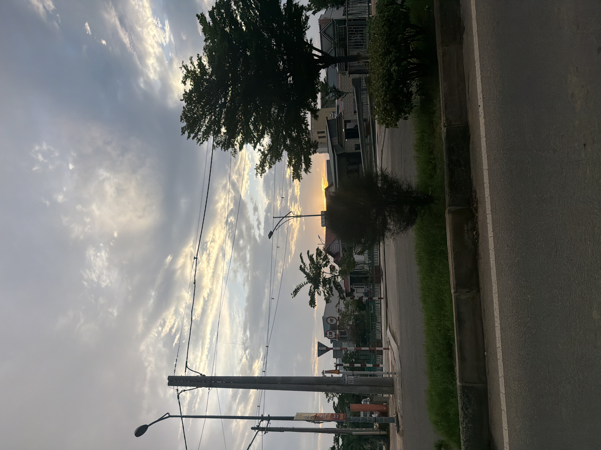 This media file captures a serene street scene in Dong Hai Ward, Vietnam, likely during sunrise or sunset, indicated by the warm, low-angled sun. The image is taken from the perspective of the road, looking down a residential street.
The sky is a prominent feature, filled with a dynamic array of stratocumulus and altocumulus clouds, some glowing golden from the hidden sun, while others remain a muted grey. The sun itself is partially obscured by distant trees and buildings on the horizon, casting a soft, atmospheric light across the scene.
In the foreground, an asphalt road runs along the right side, bordered by a concrete curb and a strip of green grass and foliage. Several utility poles with overhead wires stretch along the left side of the road, one of which holds a street lamp.
Mid-ground features include a large, dark-leafed tree dominating the left side, its silhouette stark against the bright sky. Smaller trees and shrubs are scattered along the roadside. Various traffic signs are visible on the right, including a red circular sign with "10T" (likely indicating a 10-ton weight limit) and a white rectangular sign beneath it showing "2.0M" (a 2.0-meter height limit).
In the background, a row of residential buildings with varied architecture lines the street, blending into the twilight haze. No people are visible, contributing to the tranquil atmosphere. The scene evokes a sense of calm at either the beginning or end of the day.
