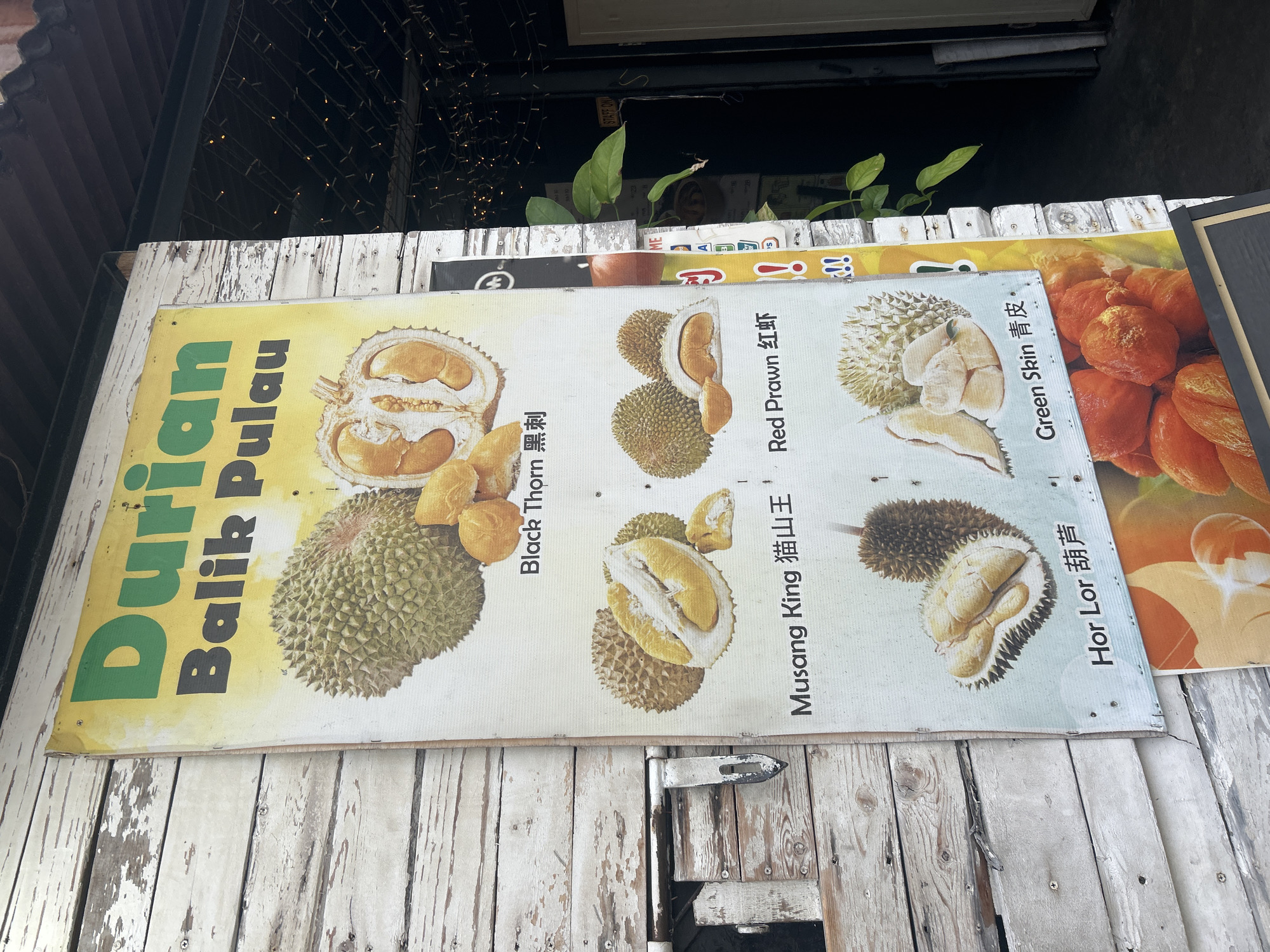 A vertical, weathered sign displays various types of durian fruit in front of a rustic wooden wall. The sign, which appears to be made of fabric or vinyl, is yellow and features green and black text. The top of the sign reads "Durian Balik Pulau" in large letters. Below this title are images of different durian varieties, each with its name written underneath.
The durian types pictured and labeled are:
- Black Thorn (with Chinese characters 黑刺)
- Musang King (with Chinese characters 猫山王)
- Red Prawn (with Chinese characters 红虾)
- Hor Lor (with Chinese characters 葫芦)
- Green Skin (with Chinese characters 青皮)
Below these images, a portion of another sign is visible, featuring a close-up of bright orange durian flesh. The wooden wall behind the sign is painted white but is peeling and aged, revealing the wood grain. The sign is attached to the wall with metal fasteners. The overall scene suggests an outdoor stall or shop selling durian, likely in the Balik Pulau area, known for its durian plantations, on the island of Penang, Malaysia. The lighting indicates it is daytime, with some artificial lights visible in the background.