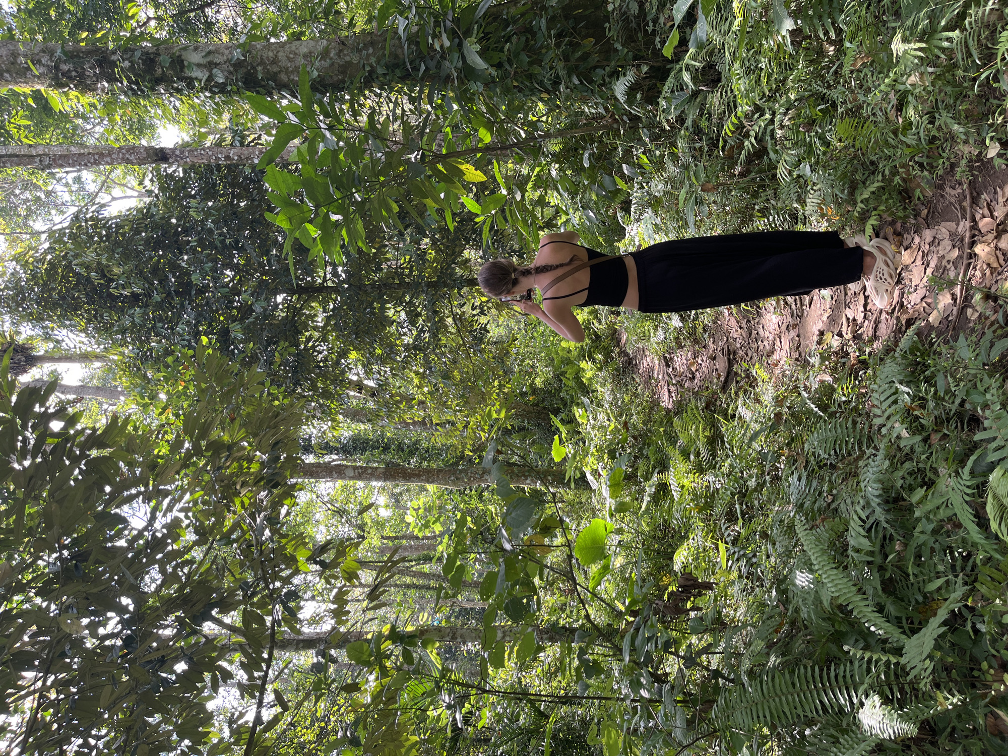 In Jurit Baru, Indonesia, a young woman with braided hair stands on a dirt path, taking a photograph with her phone. She is wearing a black crop top and long black pants, with tan, open-toed shoes. She is surrounded by a lush, green forest, with dense foliage, ferns, and tall trees. Sunlight filters through the canopy, illuminating the path and the vegetation. The scene depicts a peaceful moment of exploration and appreciation of nature in a tropical environment.