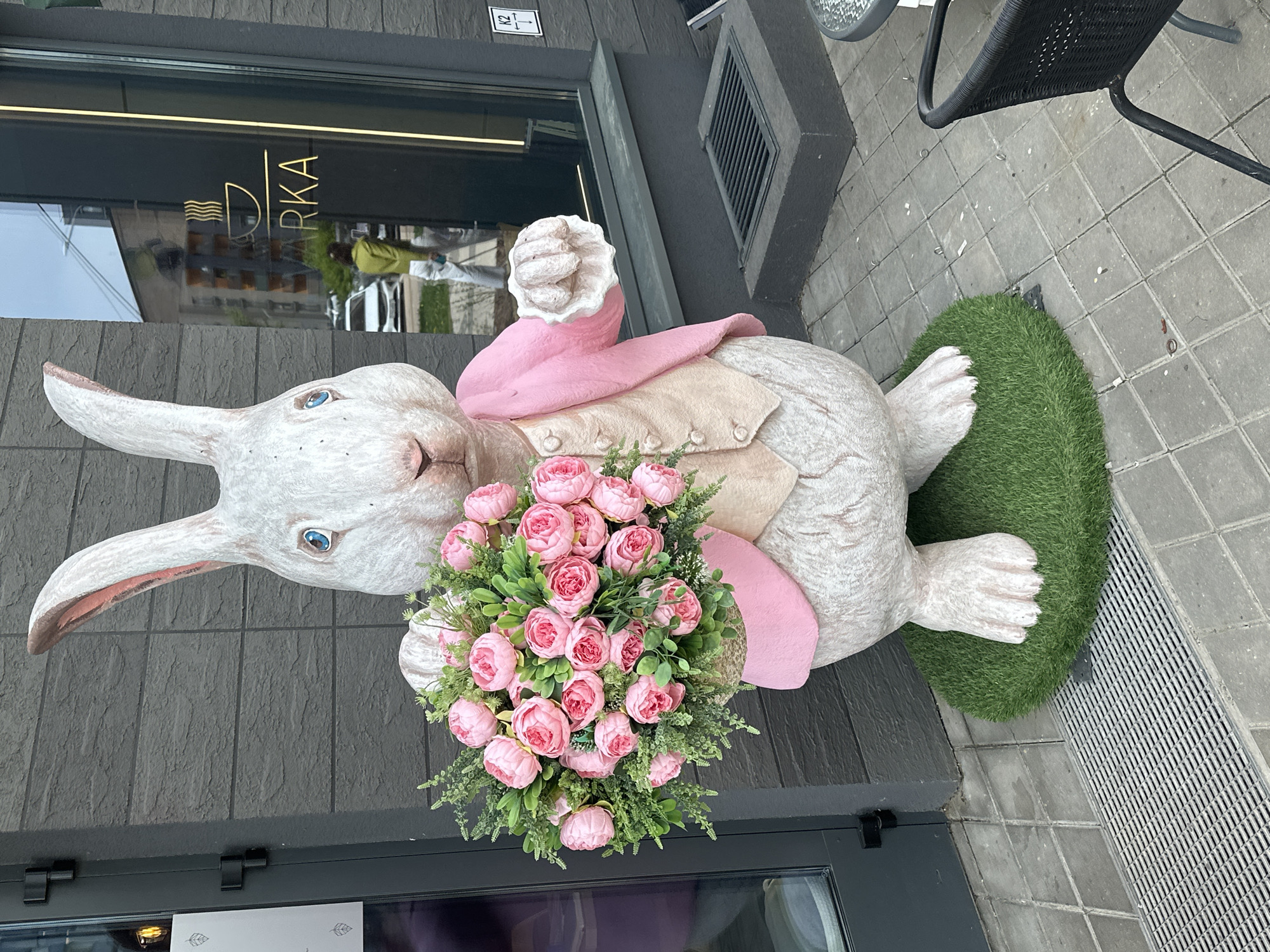A detailed, forensic description of the image follows:
**Subject:** A sculpture of a white rabbit lying on its side, situated in front of a building.
**Objects:**
* **Rabbit Sculpture:** The sculpture is painted white and has blue eyes. It is wearing a pink scarf and a beige vest. A bouquet of pink roses and green foliage is positioned in front of it.
* **Green Patch:** The rabbit rests on a small circular patch of artificial green grass.
* **Building Façade:** The building exterior is dark gray with stone or tile texture. There is a glass door and window visible. A logo or sign "Д ARKA" is seen on the window.
* **Street Features:** The foreground shows paving stones. A black metal chair is partially visible. A metal drainage grate is also visible on the right side of the frame.
**Environment:** The sculpture is located on the sidewalk or in a paved area outside a building, likely in an urban setting. The building appears to be a commercial establishment.
**Location:** The image is taken in the city of Бараўлянскі сельскі Савет, Belarus, based on the provided location.
**Inferences:** The rabbit sculpture may be a decorative element for a business or event. The presence of the floral bouquet suggests a festive or seasonal theme.
